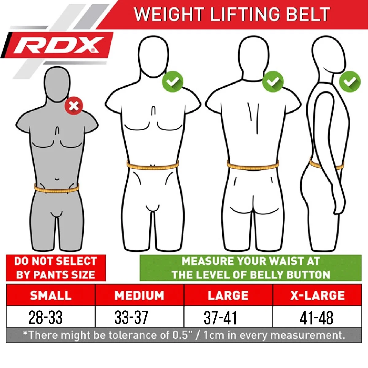 Diagram of weight lifting belt. Shows where to measure waist for different sizes: Small, Medium, Large, X-Large.