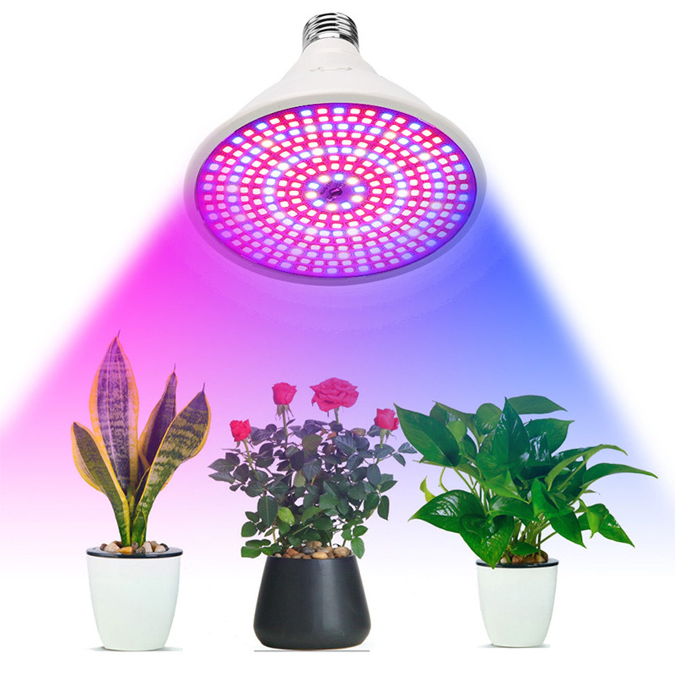 LED-Pflanzenlicht über drei Topfpflanzen, rosa und blaues Lichtspektrum.