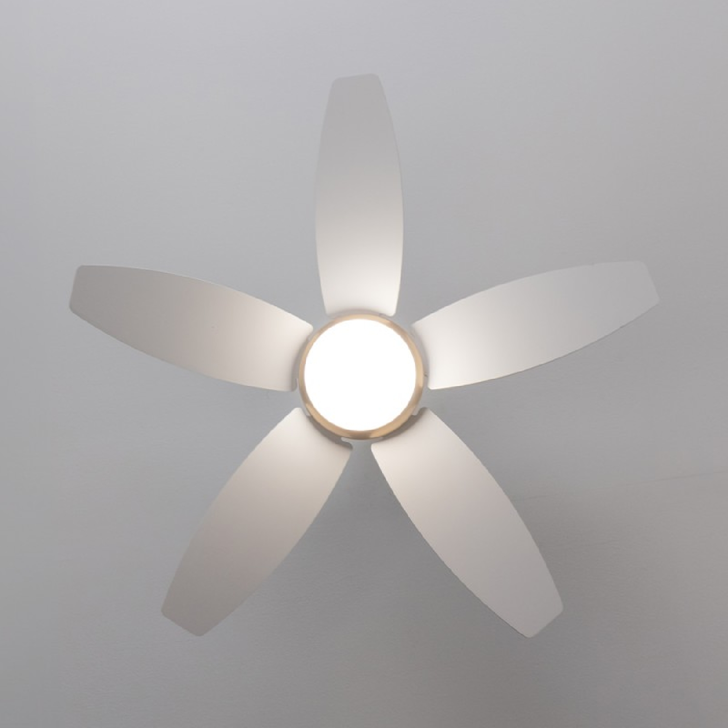 Weißer Deckenventilator mit fünf Flügeln in sternförmiger Anordnung. Ein Licht ist in der Mitte.