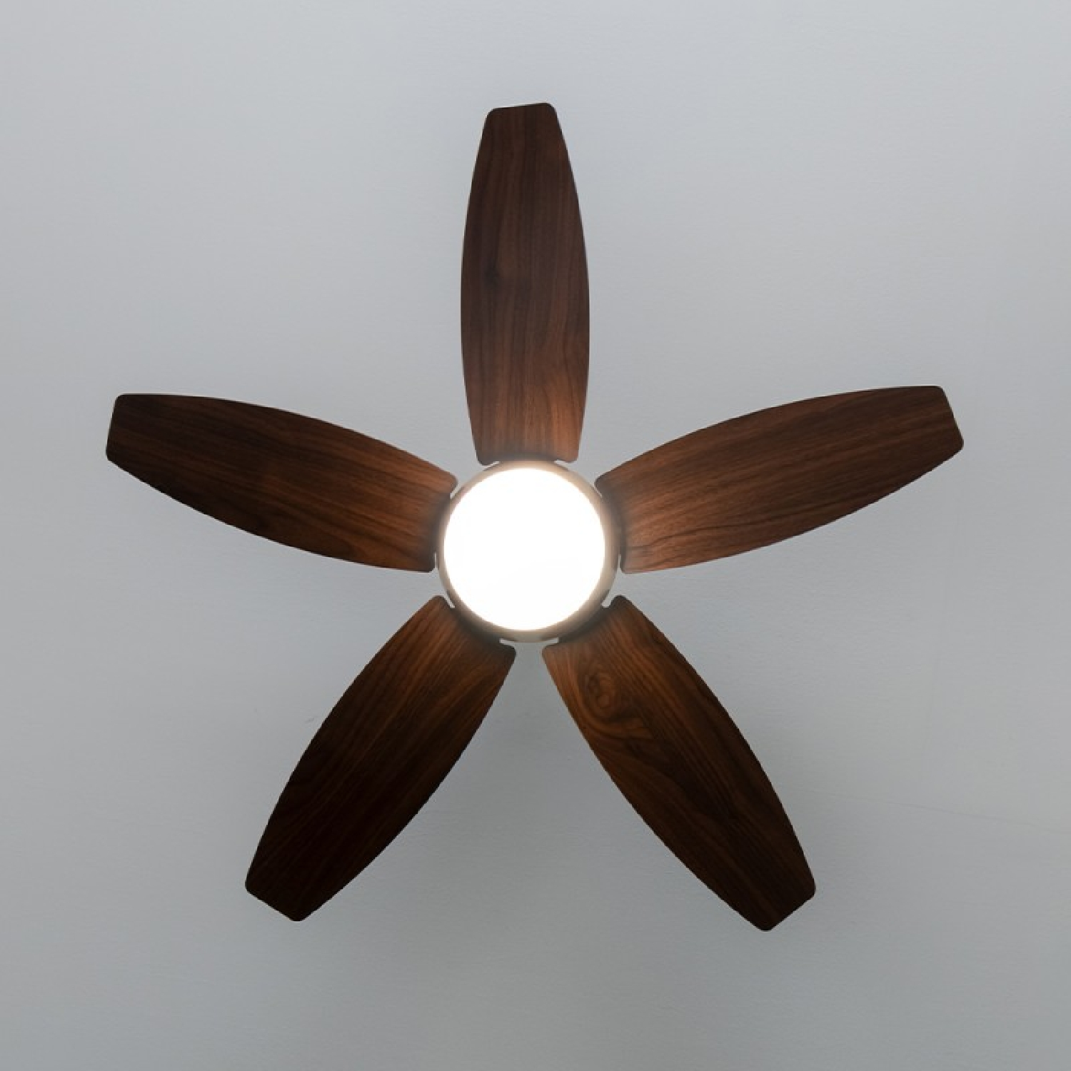 Un ventilatore a soffitto con cinque pale in legno e una luce centrale. Il ventilatore è illuminato, su un soffitto bianco.
