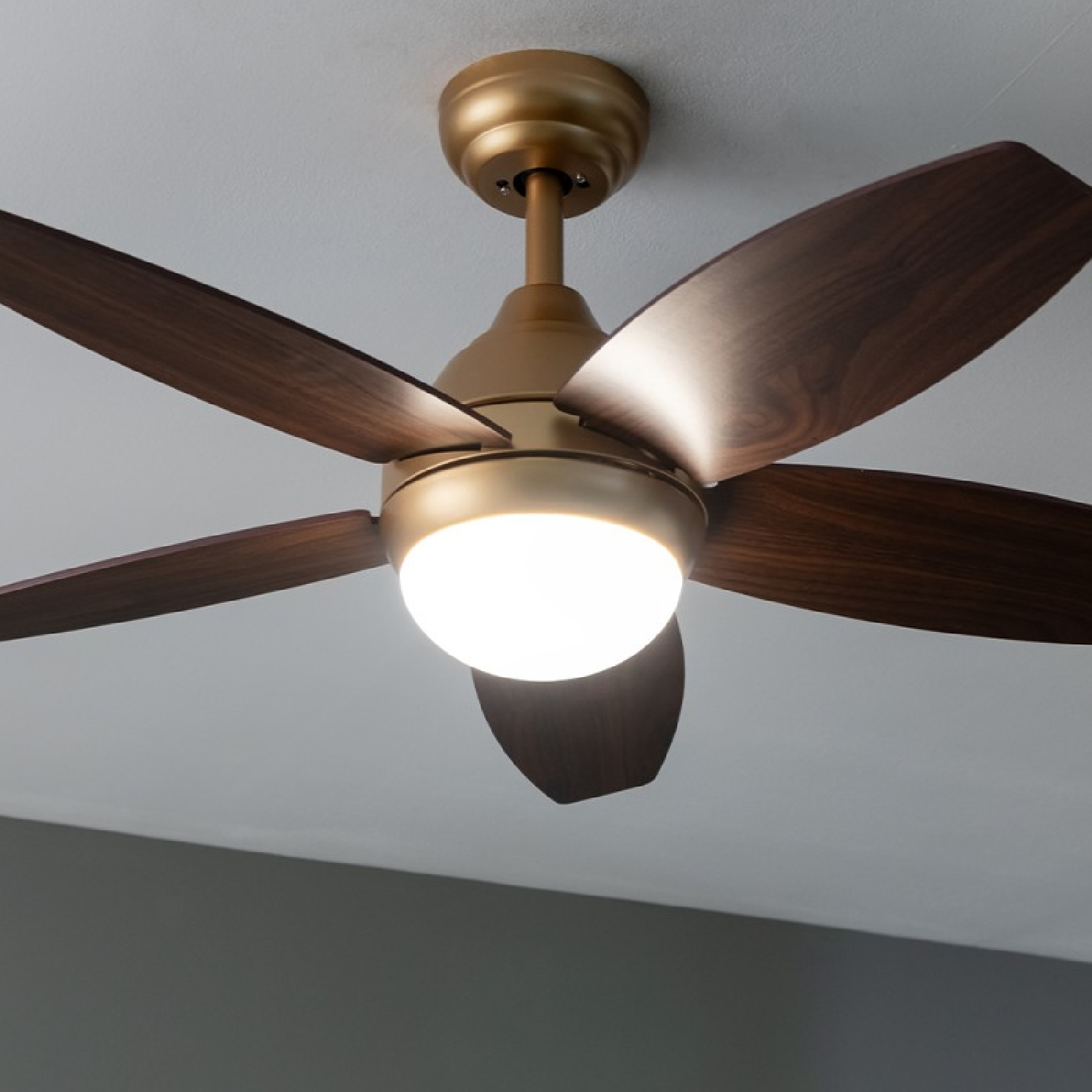 Un ventilatore da soffitto con cinque pale in legno scuro e una luce centrale.