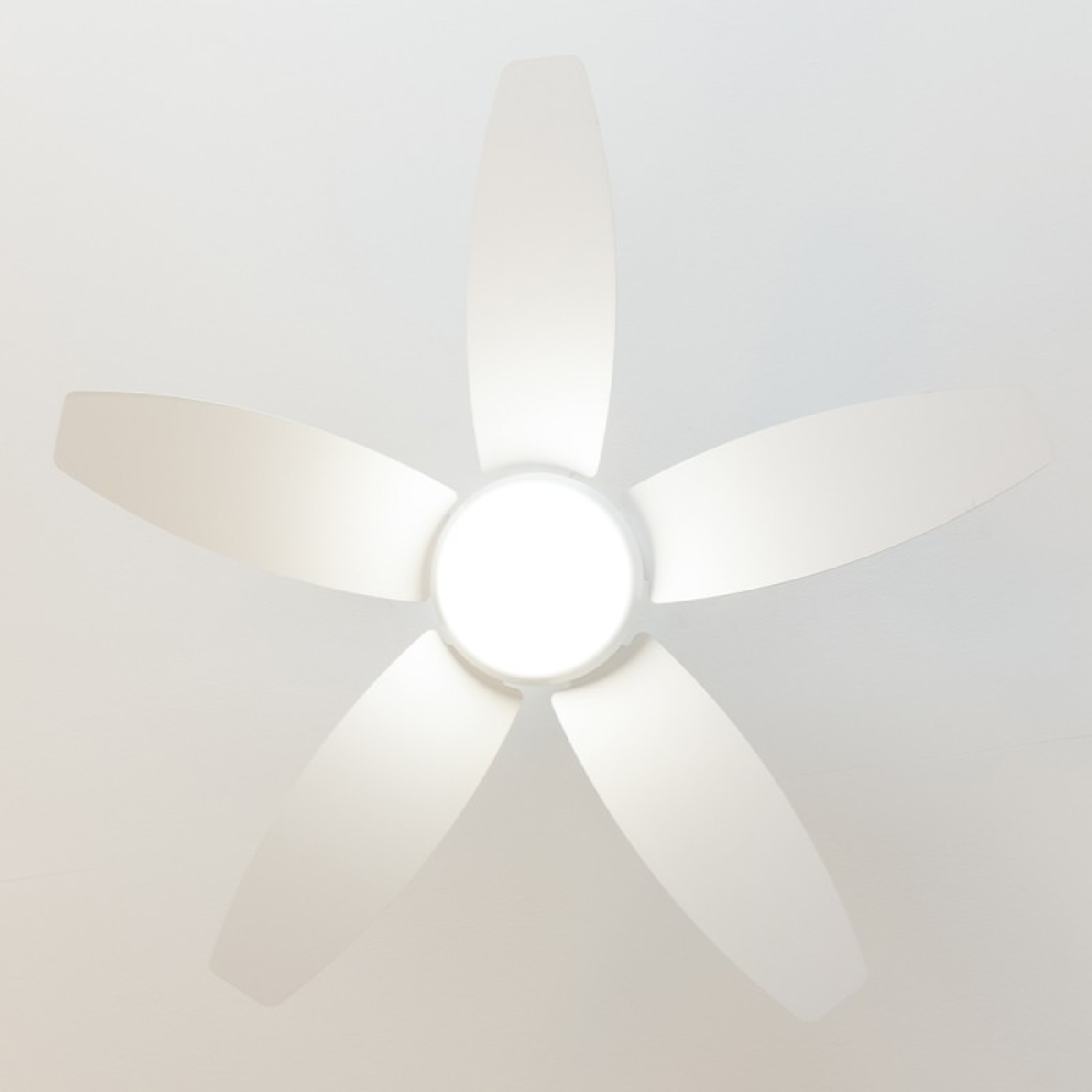Un ventilatore da soffitto bianco con cinque pale e una luce centrale.