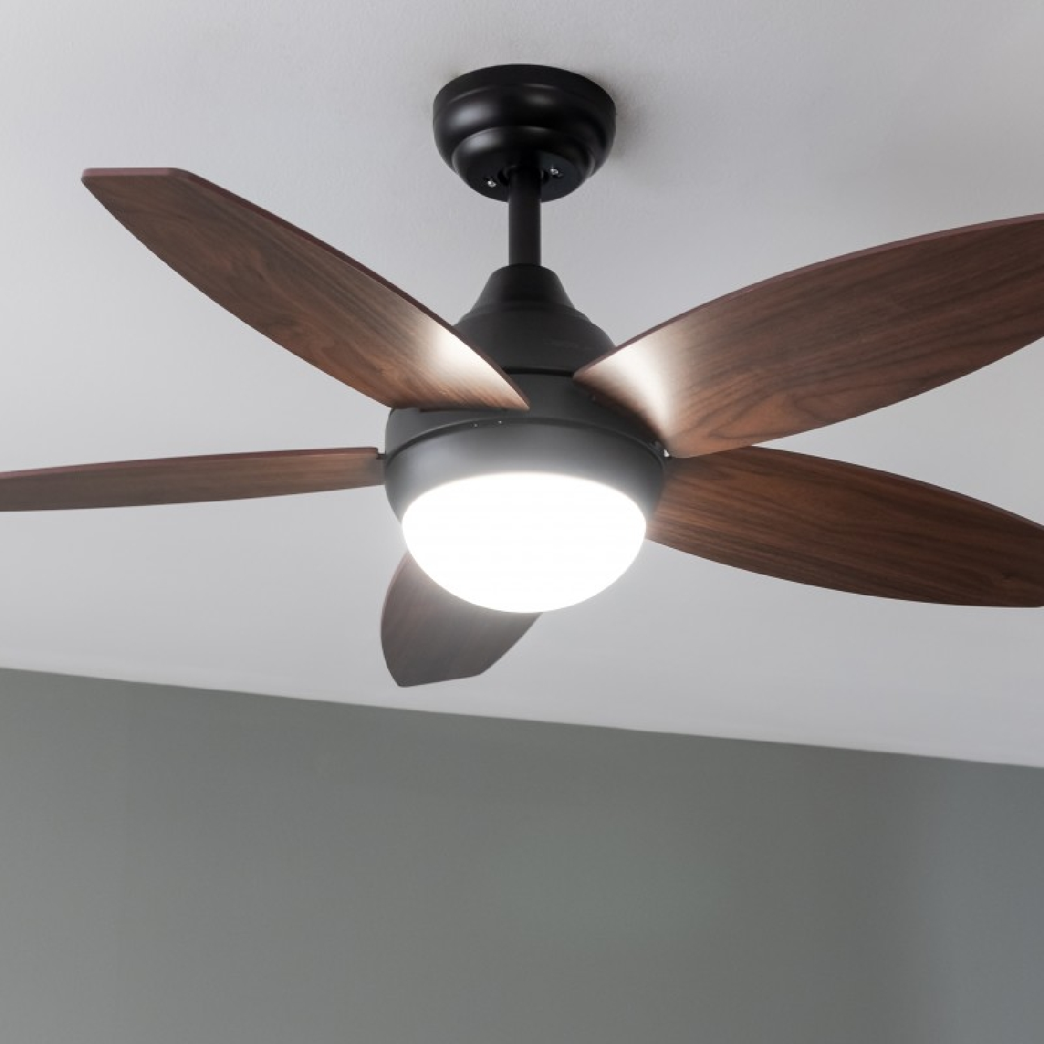 Ventilatore da soffitto con pale scure e luce centrale, soffitto bianco.