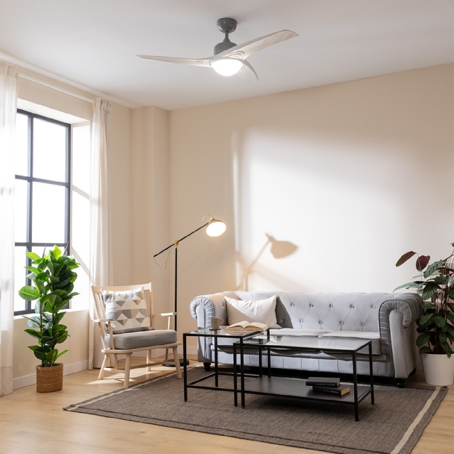 Un soggiorno con un divano grigio, un tavolino nero e un ventilatore a soffitto. Una finestra e una pianta sono visibili.