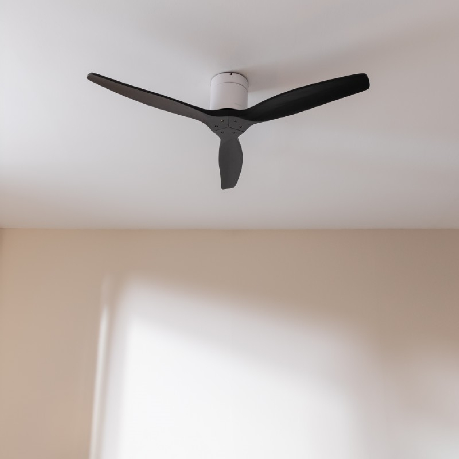 Ventilatore a soffitto con tre pale nere e motore bianco su uno sfondo di parete bianca e beige.