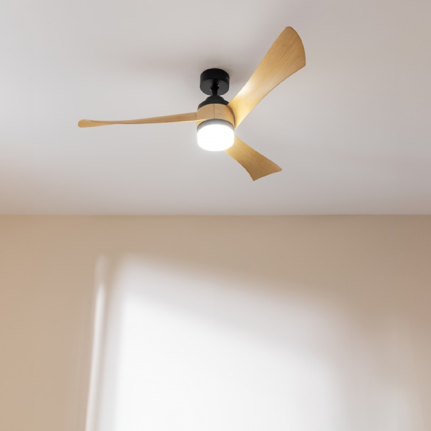 Ventilatore a soffitto con pale in legno e un'apparecchio di illuminazione, montato su un soffitto bianco. Parete color beige chiaro sullo sfondo.