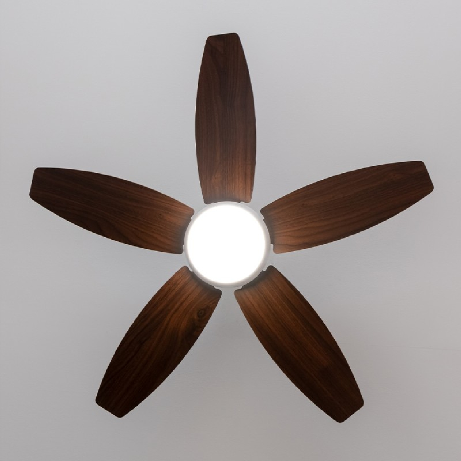 Ventilador de techo con cinco aspas de madera y luz central. Techo blanco.