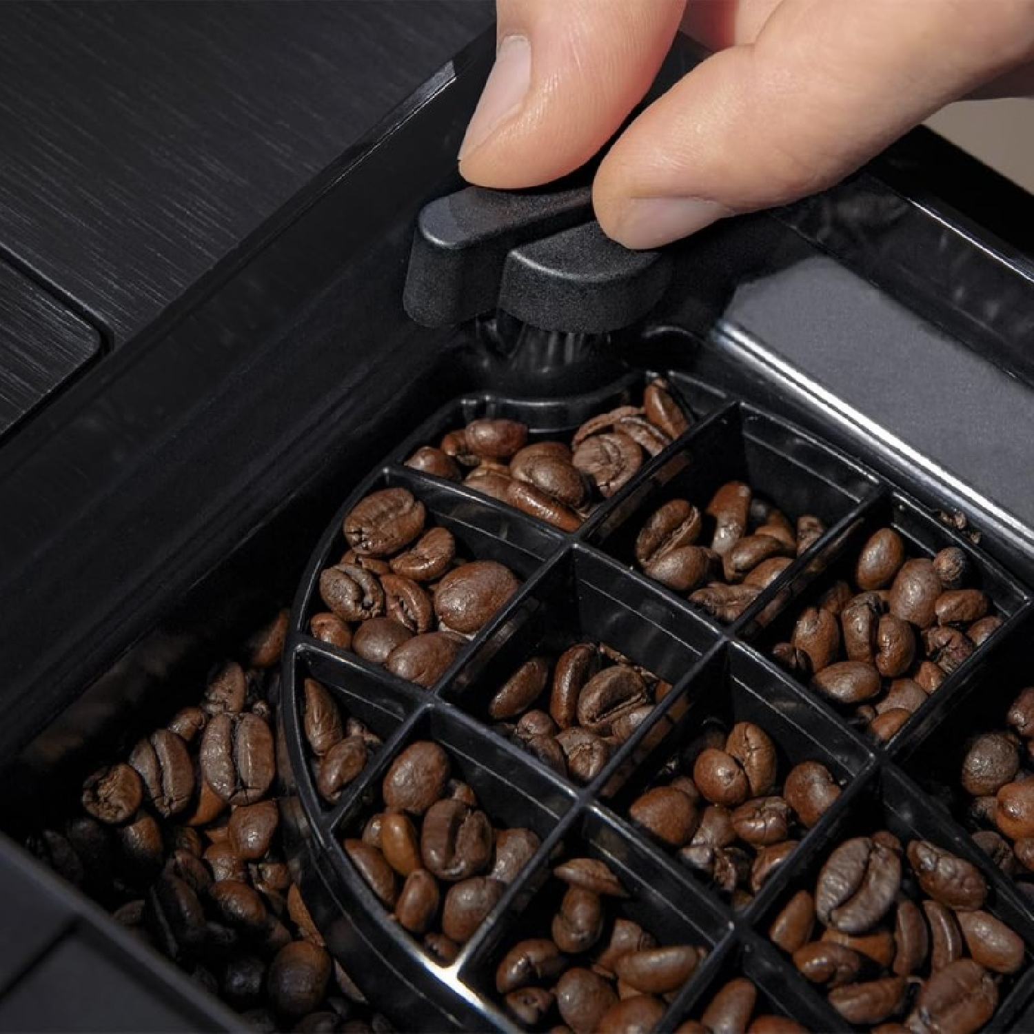 Una mano se mete en un compartimento lleno de granos de café, seleccionando una sección específica.