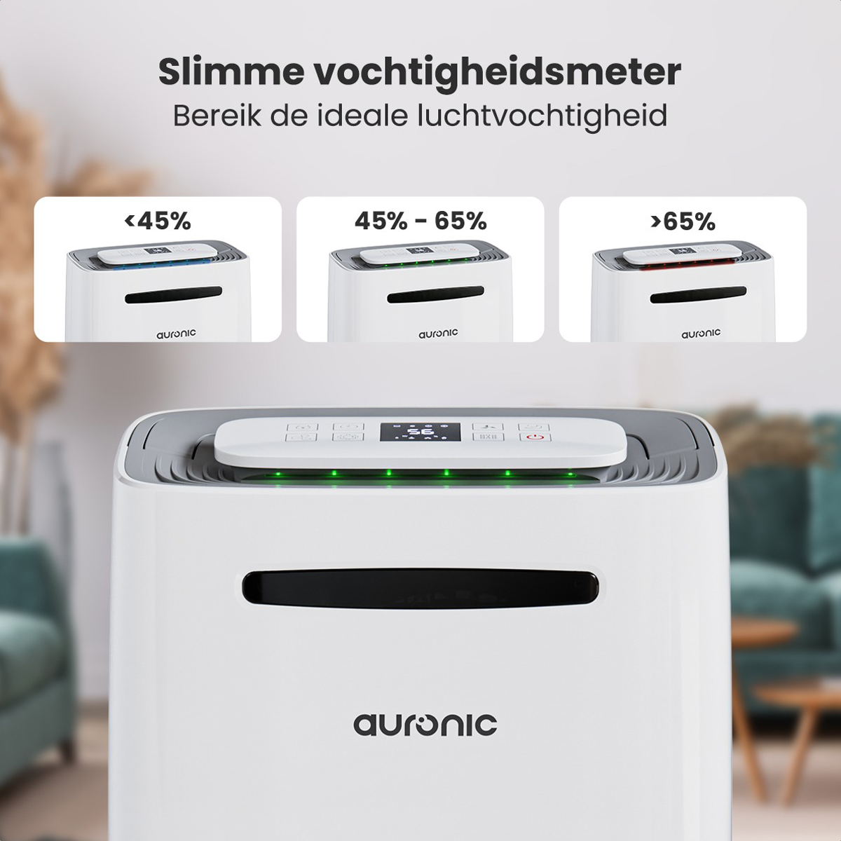 Randao Elektrishe Kühlbox, mit Kühl- und Warmhaltefunktion im Kanton Aargau