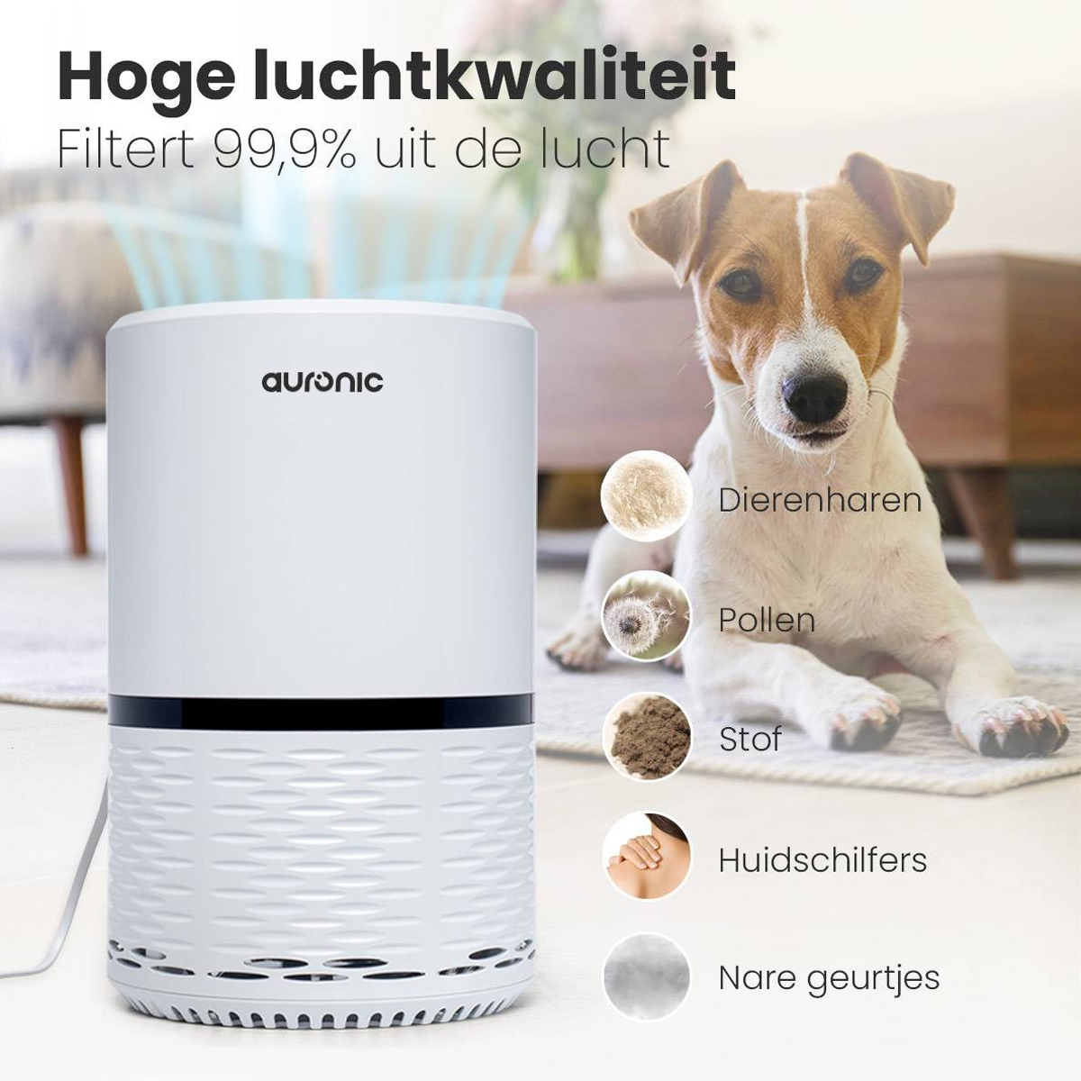 White air purifier with a dog and details about allergens: pet hair, pollen, dust, skin flakes, odors.