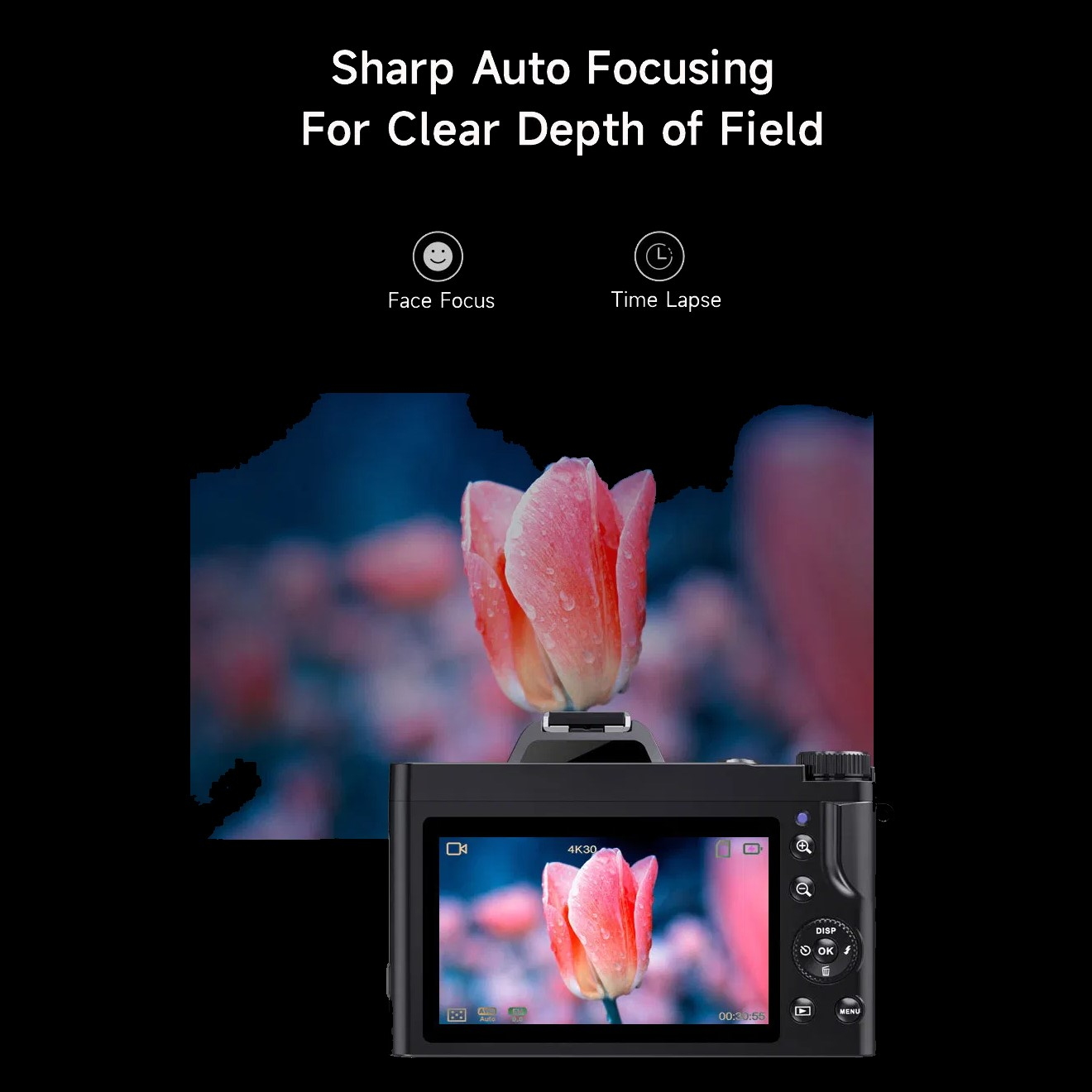 Ekran aparatu pokazujący zdjęcie kwiatu. Tekst: Wykrywanie twarzy, Time Lapse i Ostre automatyczne ustawianie ostrości.