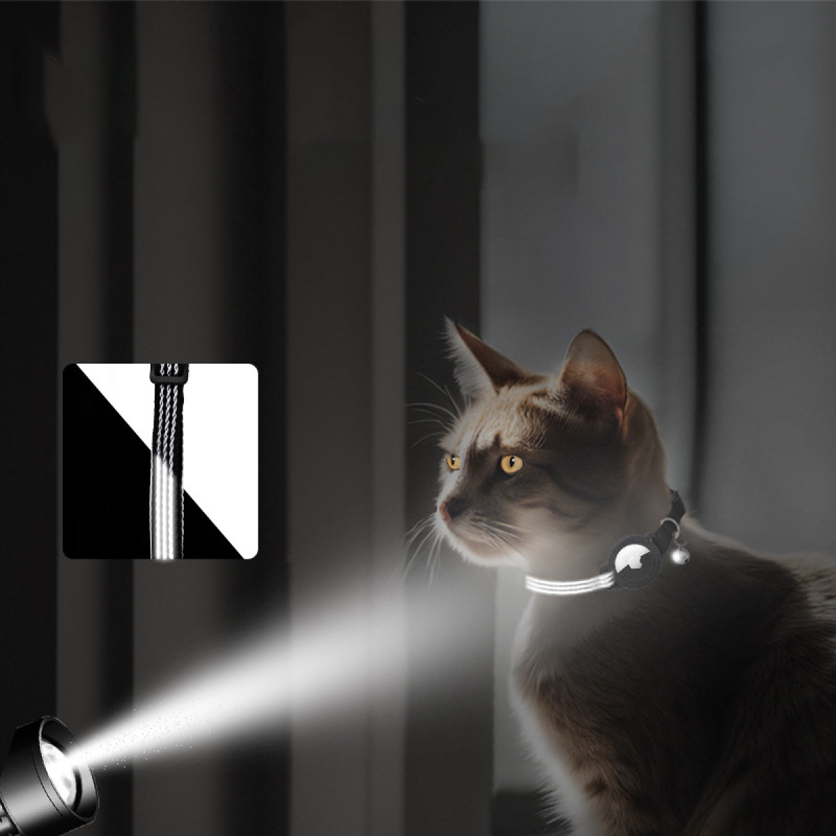 Kot z obrożą świeci w ciemności, z reflektorem świecącym na twarz kota.