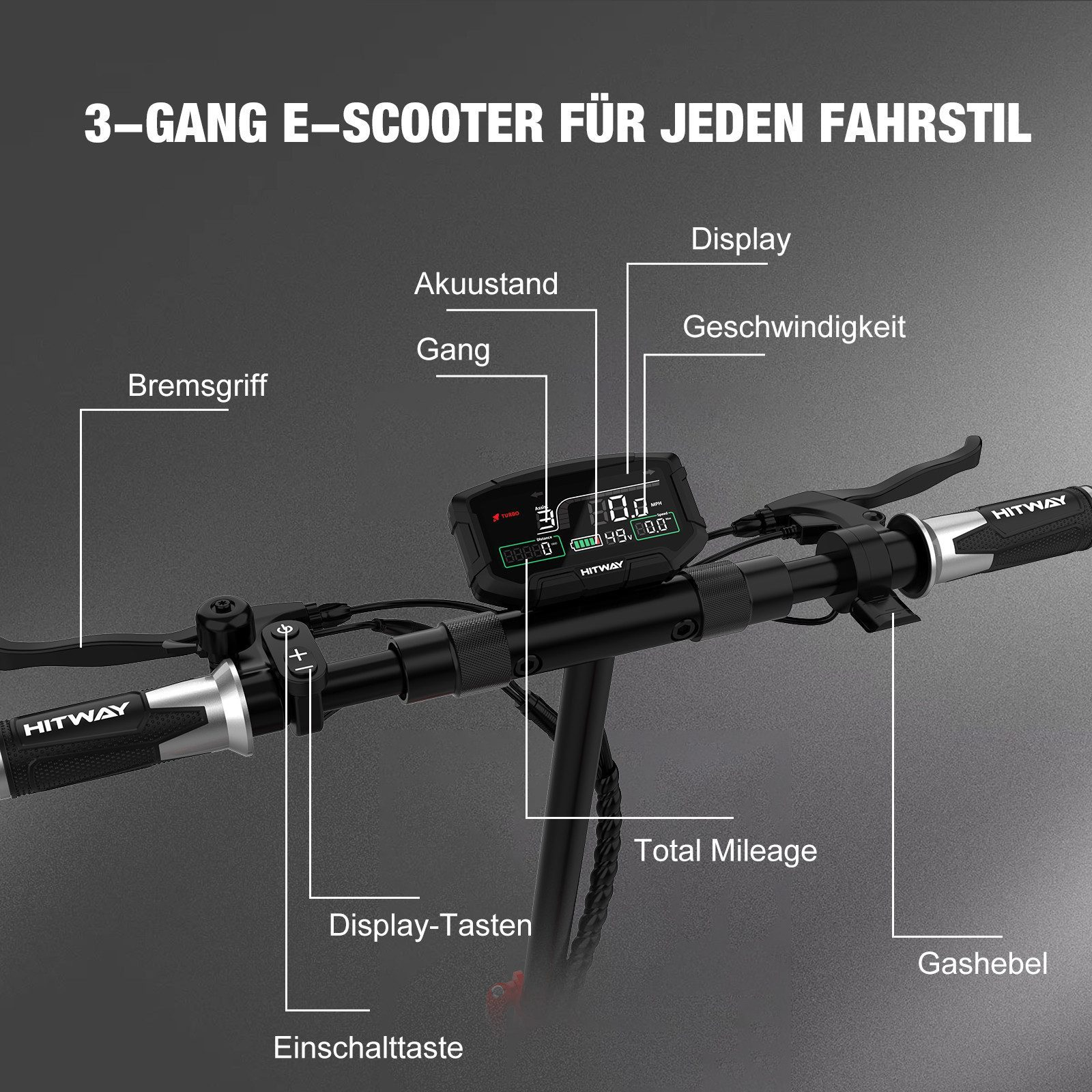 Der Lenker eines E-Scooters mit einem Display, das Geschwindigkeit und Akkustand anzeigt. Verschiedene beschriftete Teile sind sichtbar.