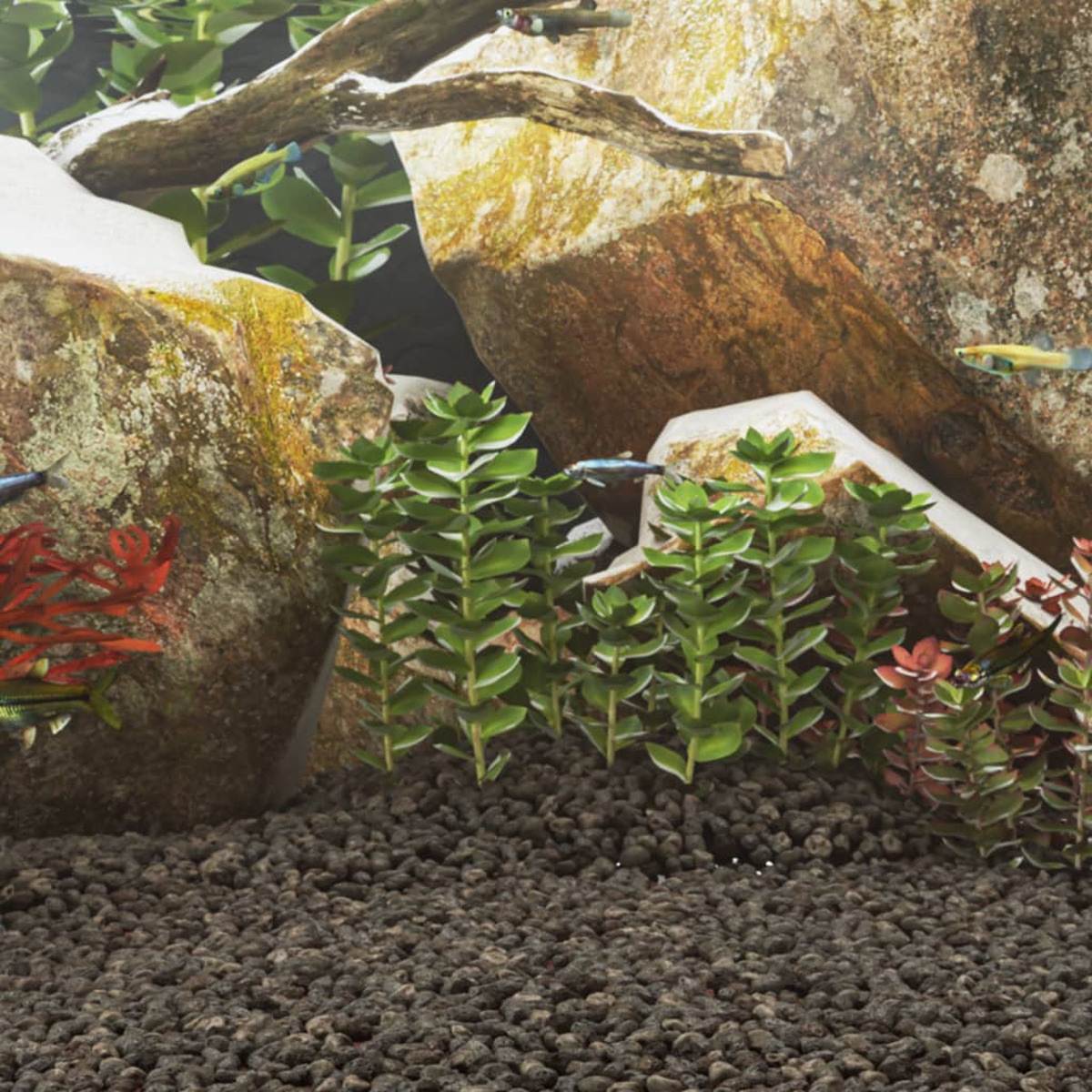 Scena di acquario con rocce, piante verdi e pesci che nuotano, su un substrato scuro.