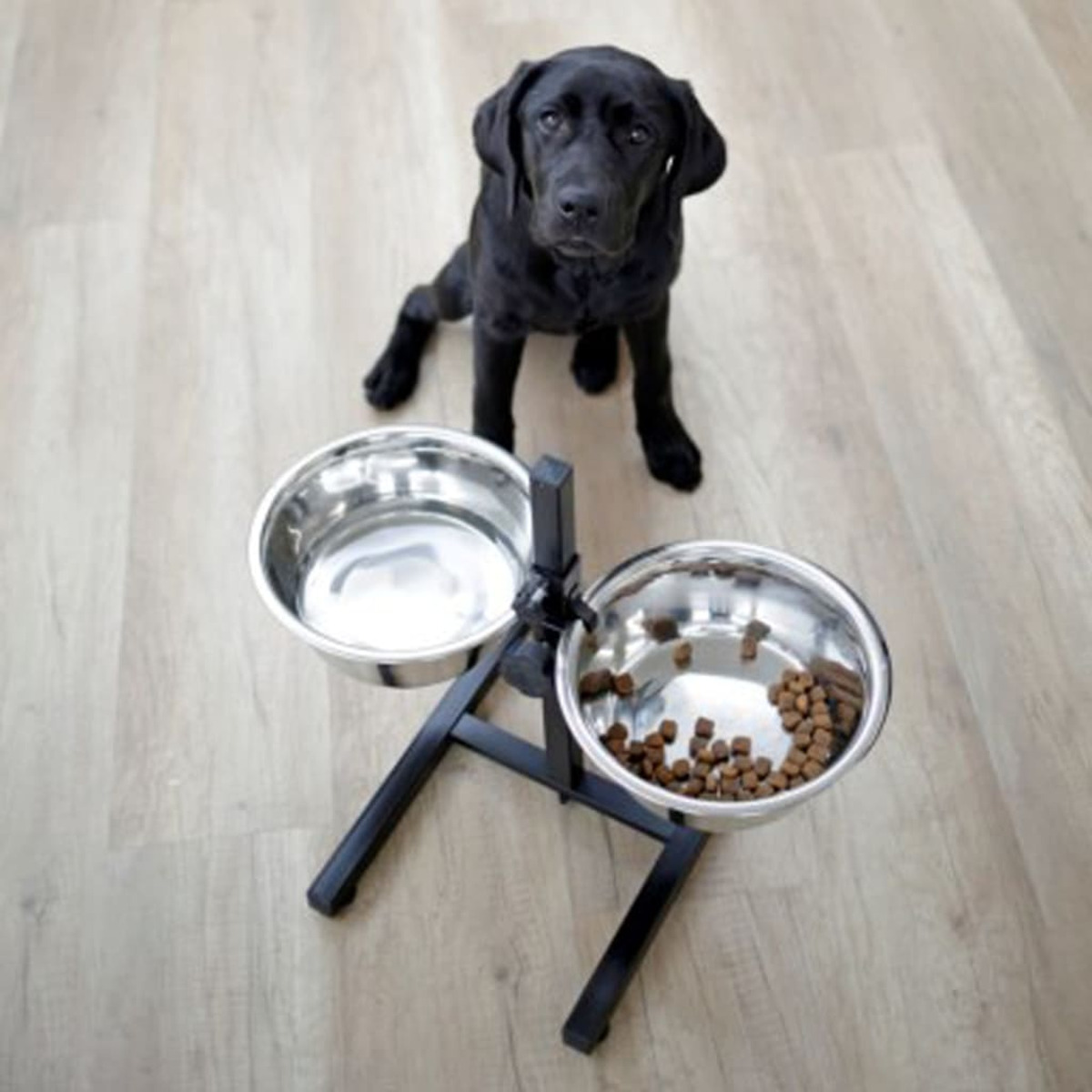 Schwarzer Labrador sitzt hinter einem Futternapfständer mit zwei Näpfen, einer mit Futter.