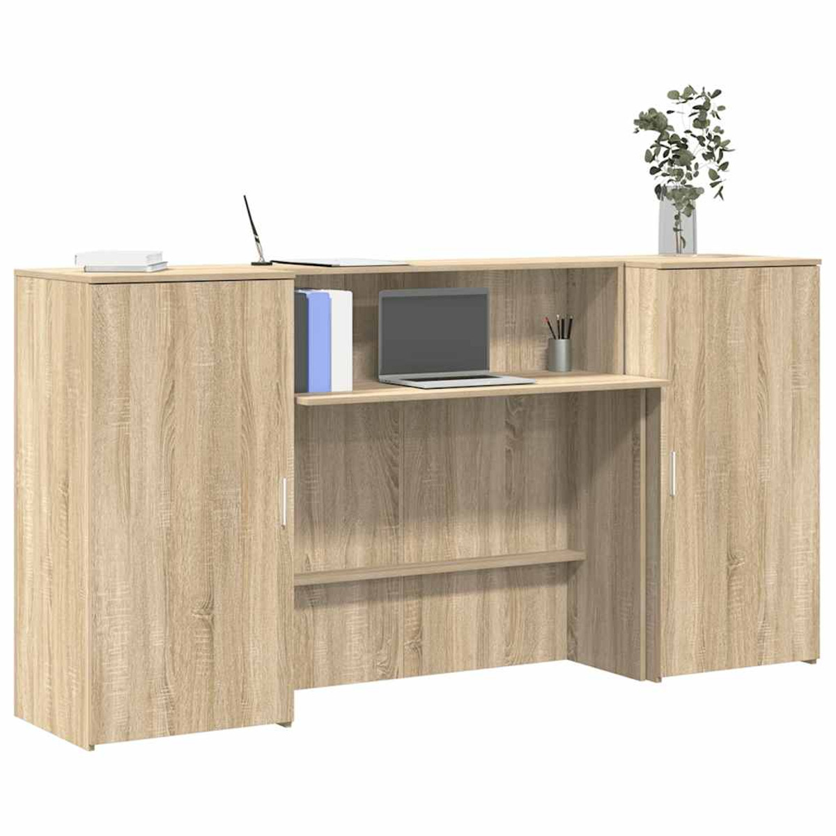 Empfangstresen aus Holz mit Laptop, Büchern und Pflanze. Helles Holz. Weißer Hintergrund.