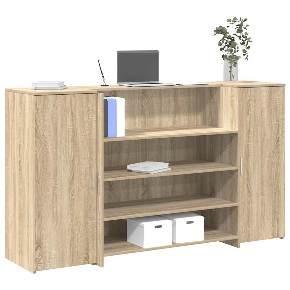 Holzschrank mit Regalen, Laptop, Büchern und Pflanze. Weiße Boxen im Hintergrund.