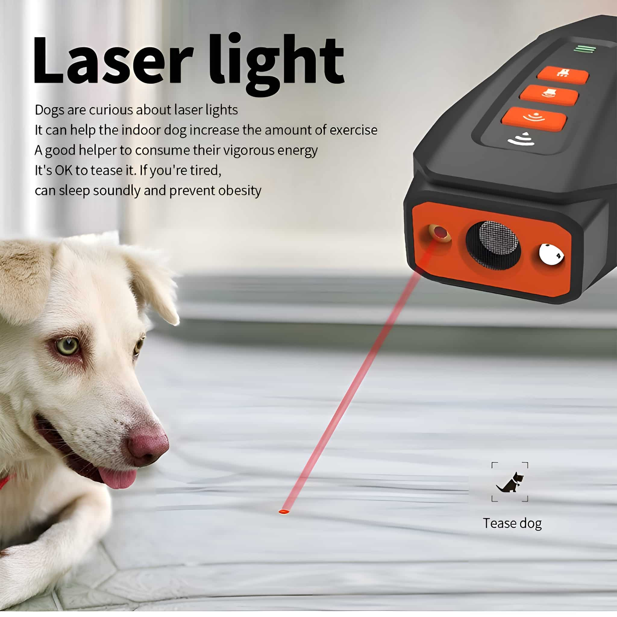 Hund mit Laserlichtspielzeug. Text erwähnt, dass es für Bewegung und gegen Übergewicht ist.
