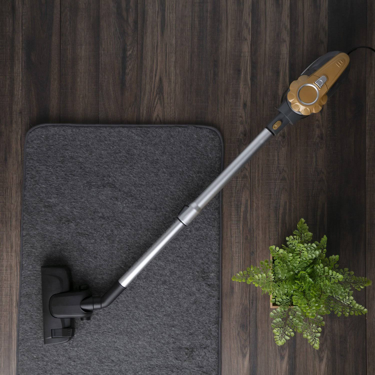 Odkurzacz na drewnianej podłodze, obok dywanu i rośliny.