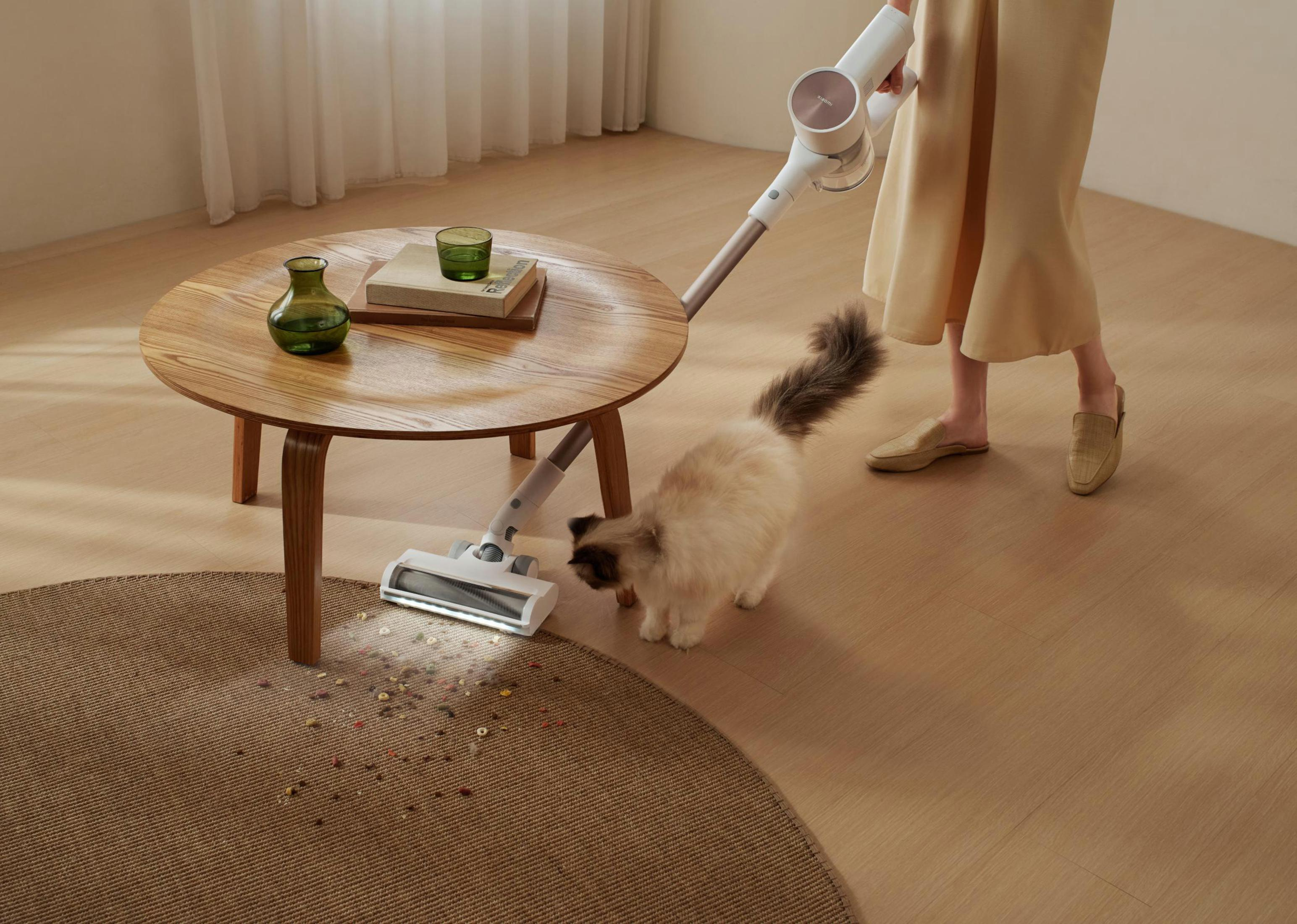 Kobieta odkurza dywan, obok kot.