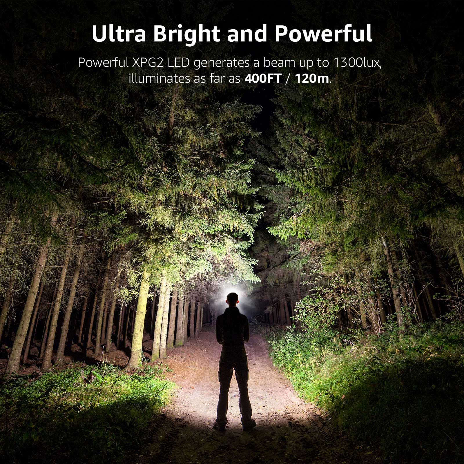 Person im Wald, beleuchtet von hellem Licht, Bäume im Hintergrund.