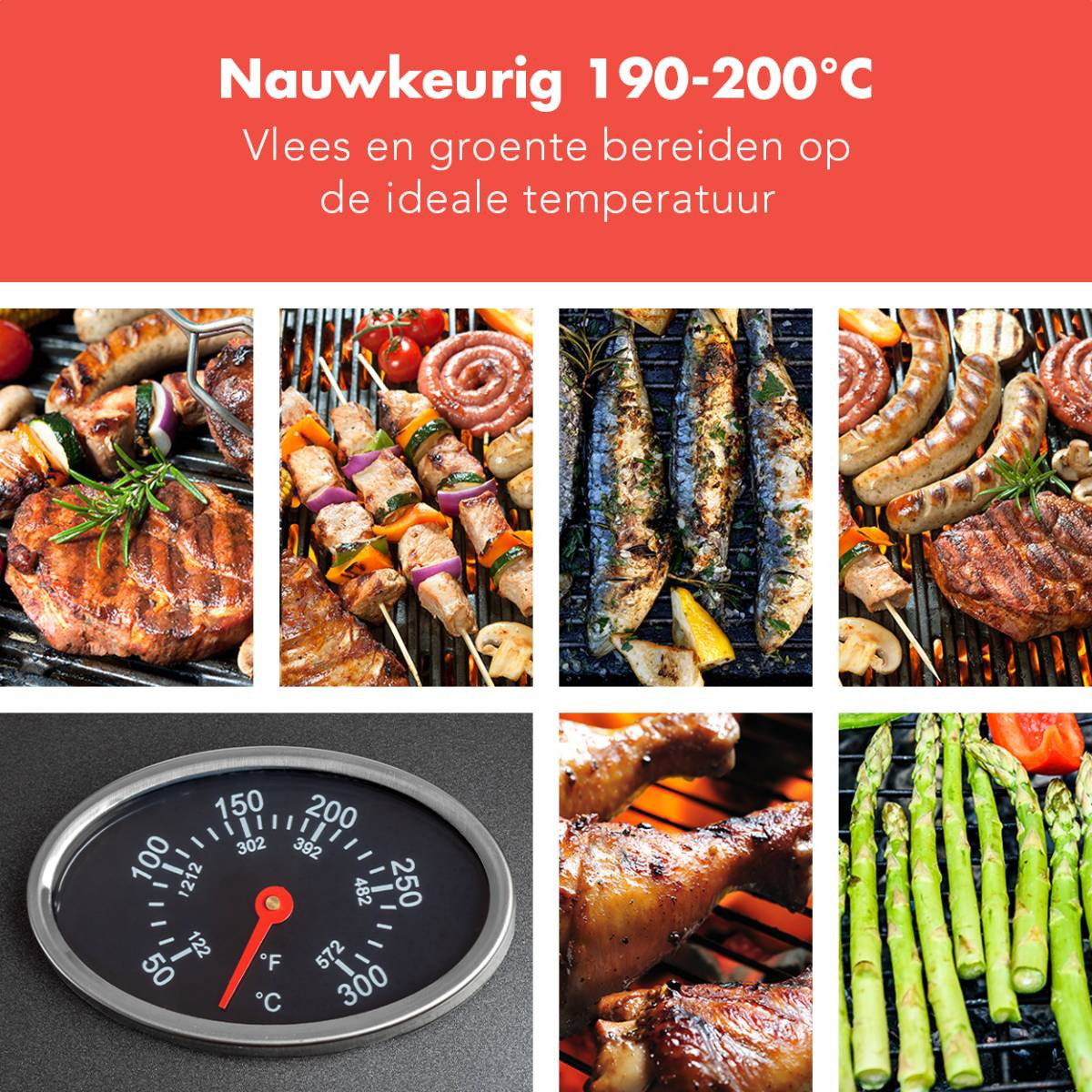 Close-up of various grilled food on a grill. Includes skewers, fish, sausage and asparagus.