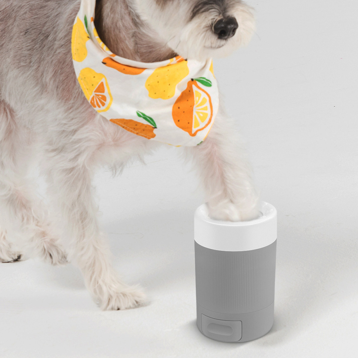 Pata de perro sobre un dispositivo gris y blanco con tapa blanca e huella.