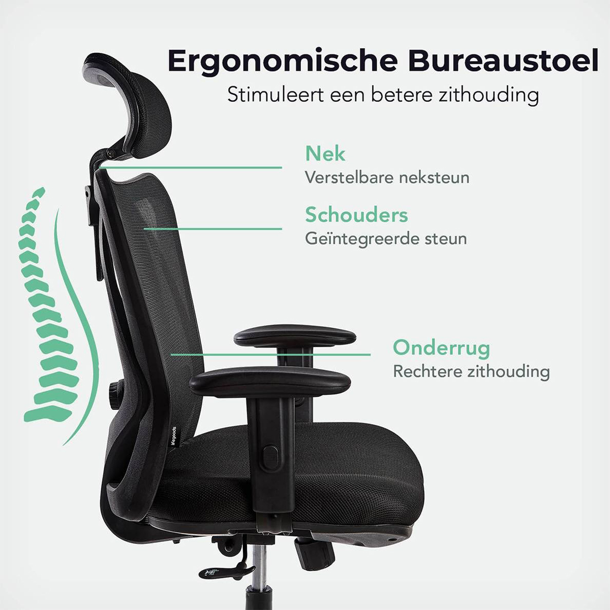 Ergonomic office chair with labeled sections: neck, shoulders, and lower back.