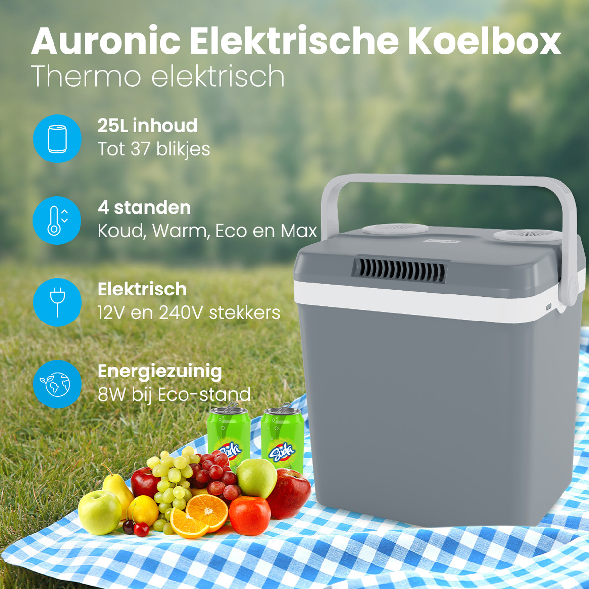 Une glacière grise avec des fruits et des boissons sur un tissu à carreaux à l'extérieur.