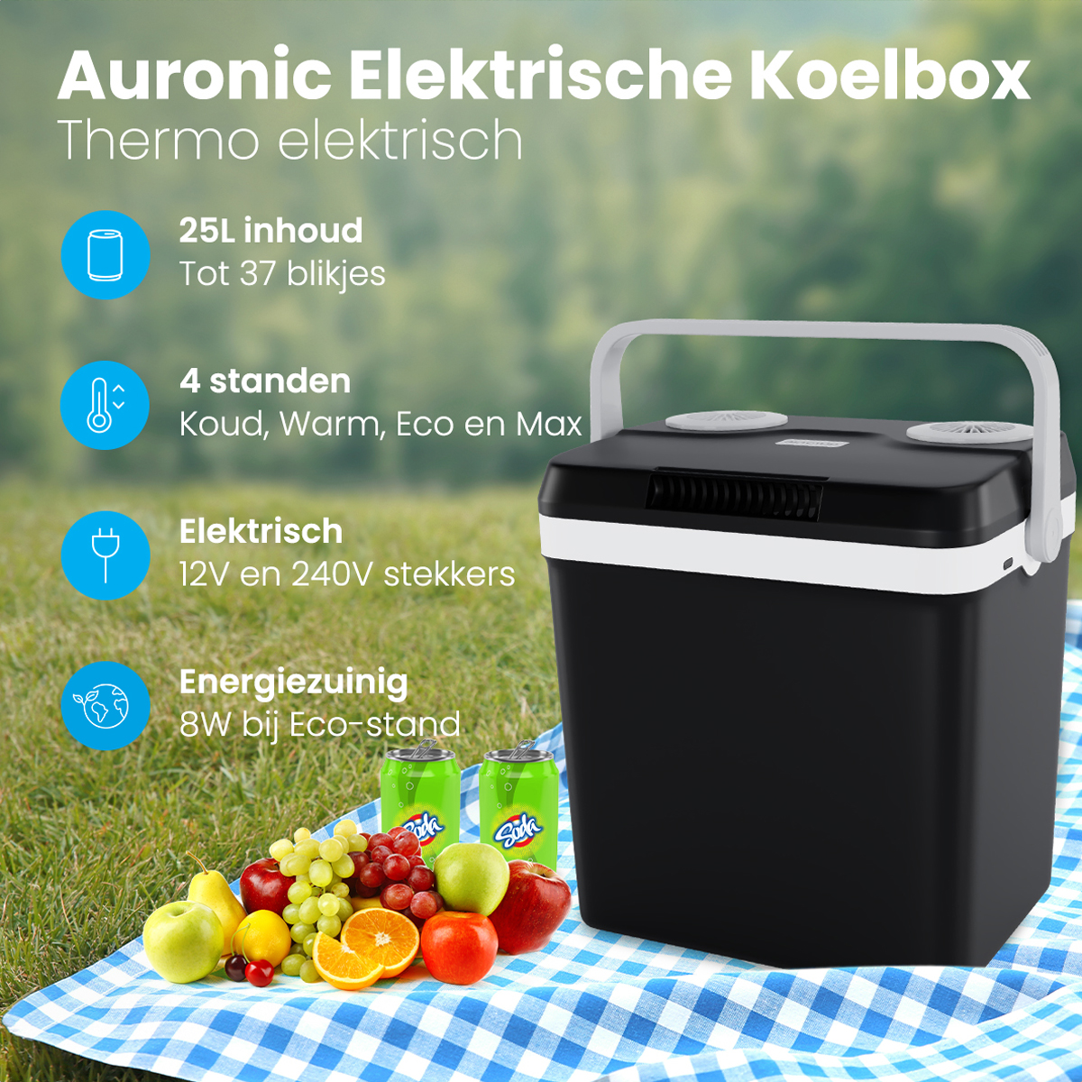 Een zwarte draagbare koeler met functies. Fruit en drankjes op een geruite doek.