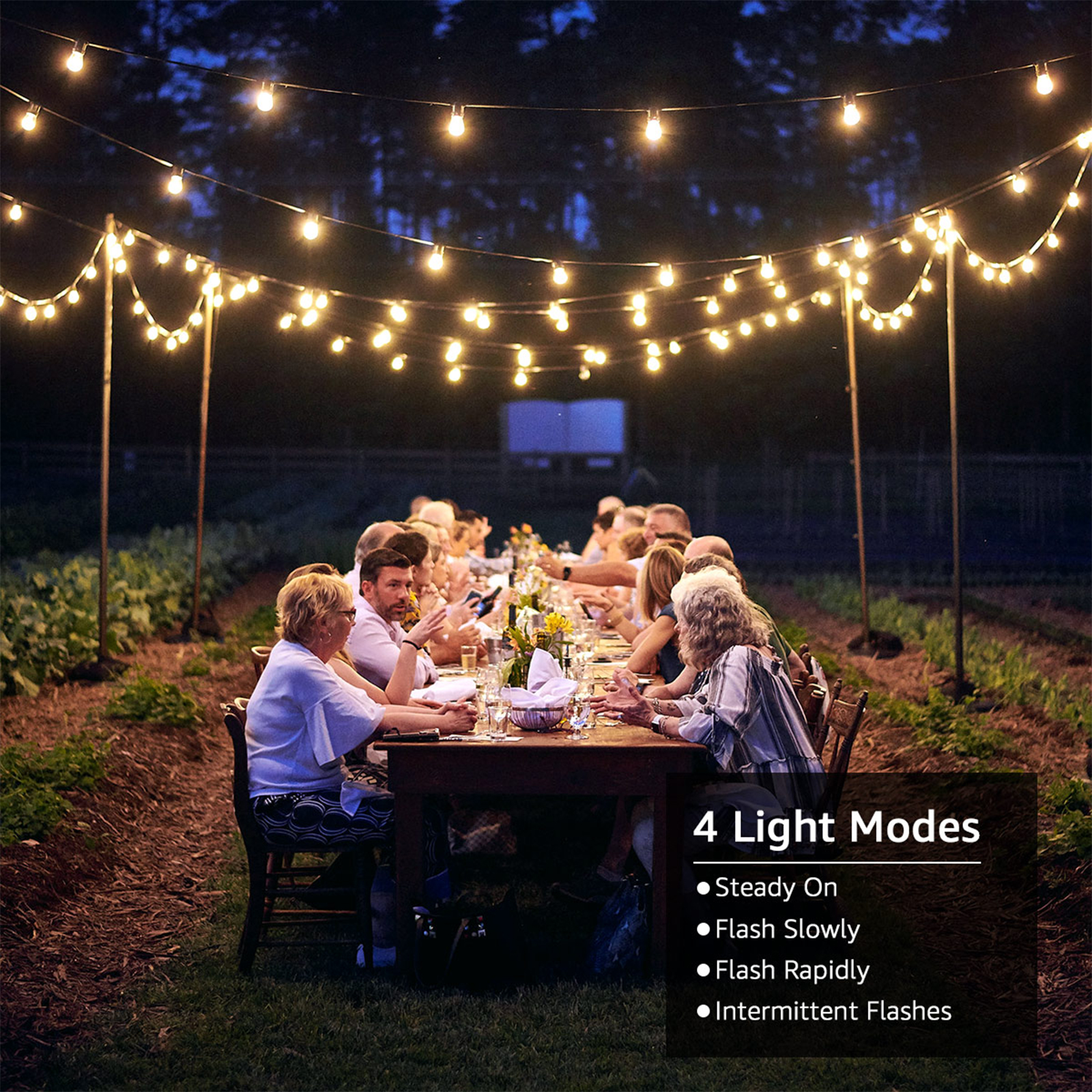 Nachtaufnahme einer Dinnerparty unter Lichterketten. Personen sitzen an einem Tisch in einem Garten.