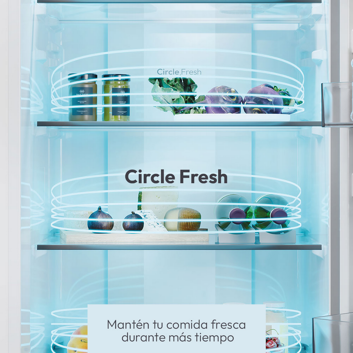 Interno del frigorifero con cibo. Luce blu illumina i ripiani, contenenti alimenti.