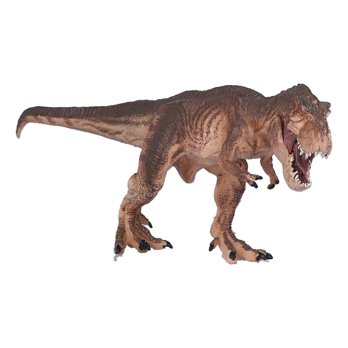 Ein braunes und hellbraunes Tyrannosaurus Rex-Spielzeug auf weißem Hintergrund.