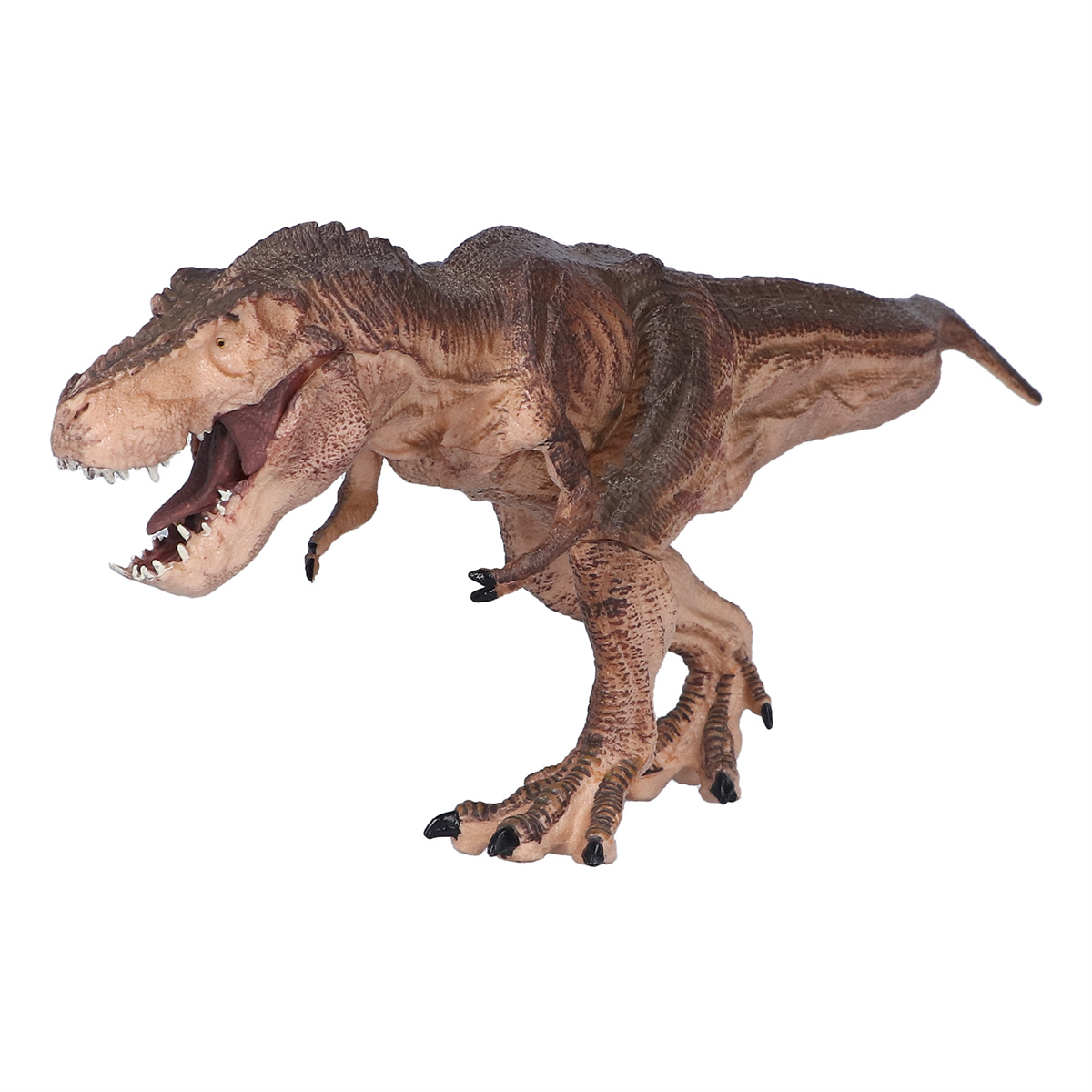 Ein braunes Tyrannosaurus Rex-Spielzeug mit offenem Mund, der Zähne zeigt. Es ist auf weißem Hintergrund.