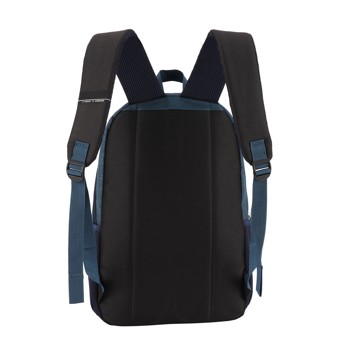 Ein schwarz-blauer Rucksack mit Trägern. Rückansicht. Der Hintergrund ist weiß.