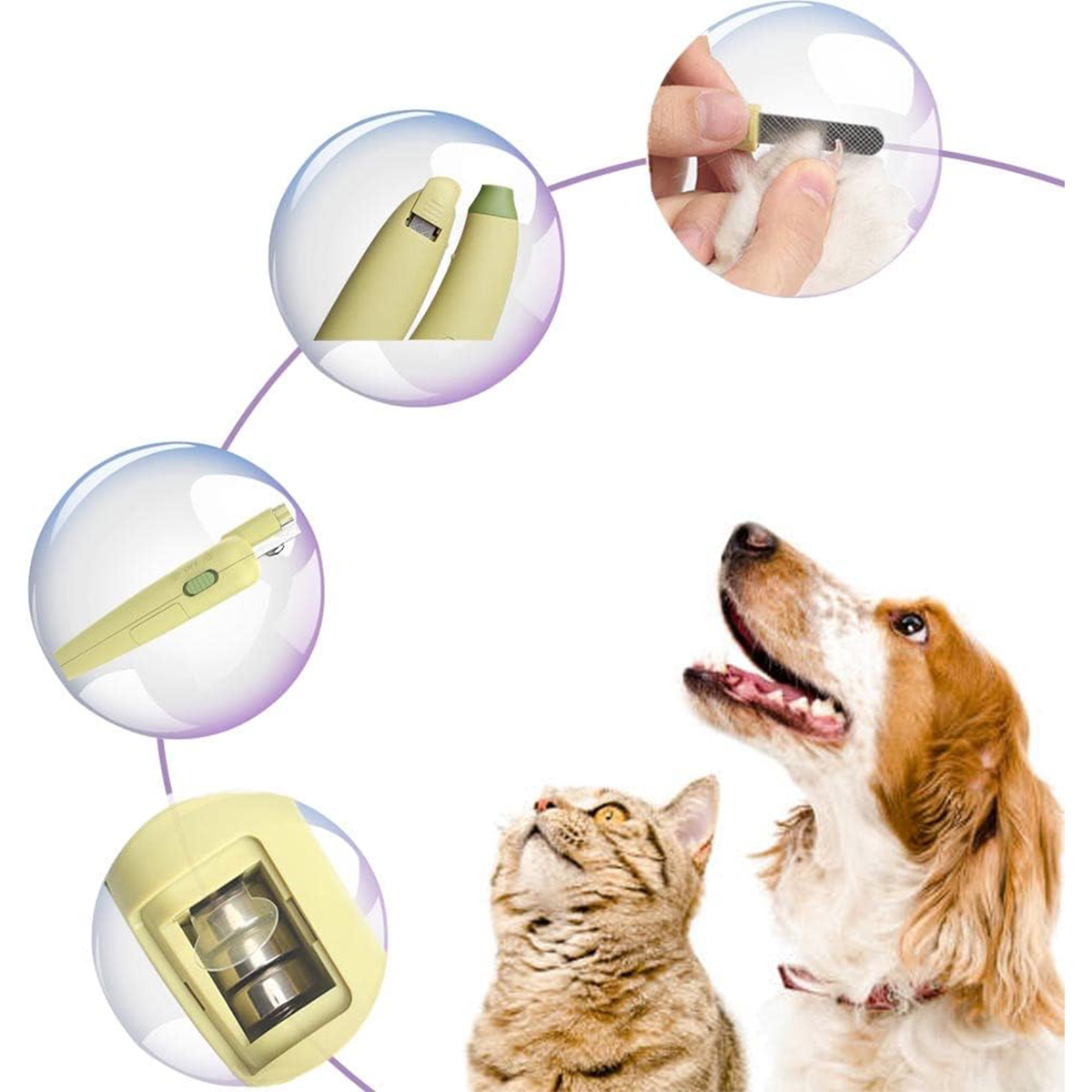 Diagramm mit Tierpflege-Werkzeugen und Haustieren. Ein Hund und eine Katze schauen nach oben.