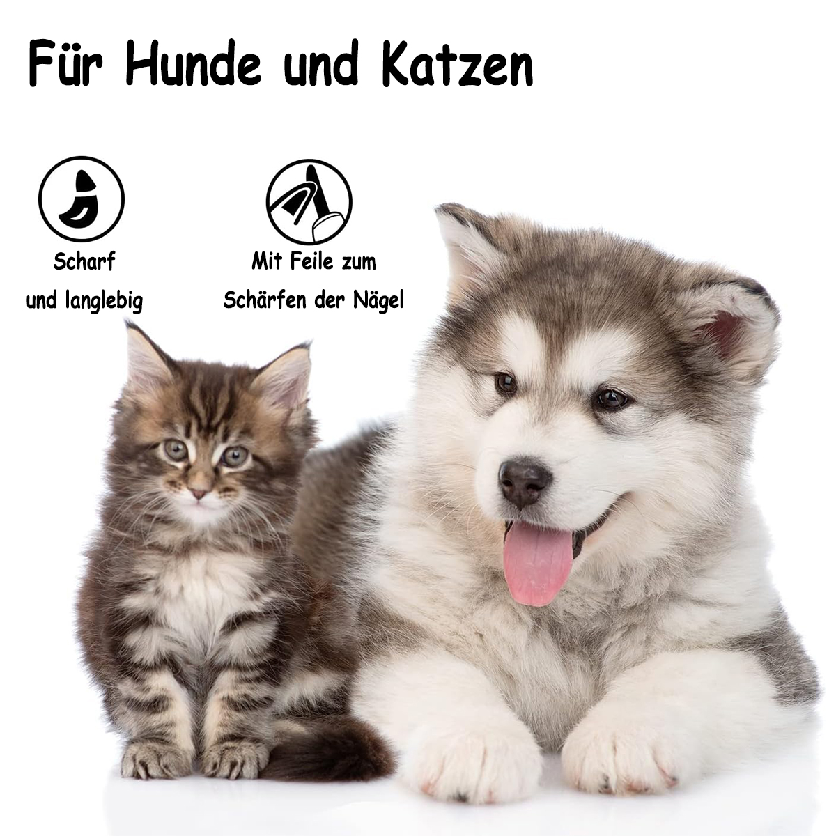 Katze und Hund zusammen, mit Text: Für Hunde und Katzen. Jedes Tier ist gepflegt.