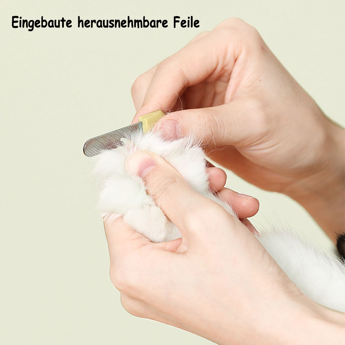 Hände, die Katzennägel mit einer Nagelfeile auf hellem Hintergrund schneiden.