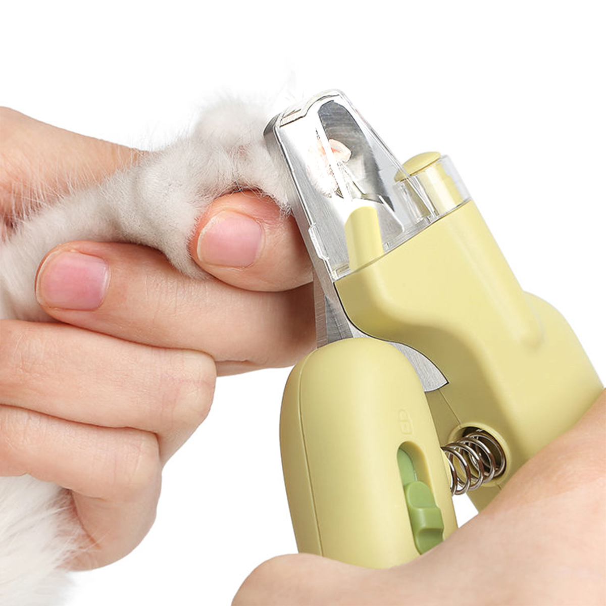 Person verwendet gelben Haustier-Nagelknipser, trimmt die Pfote einer weißen Katze.
