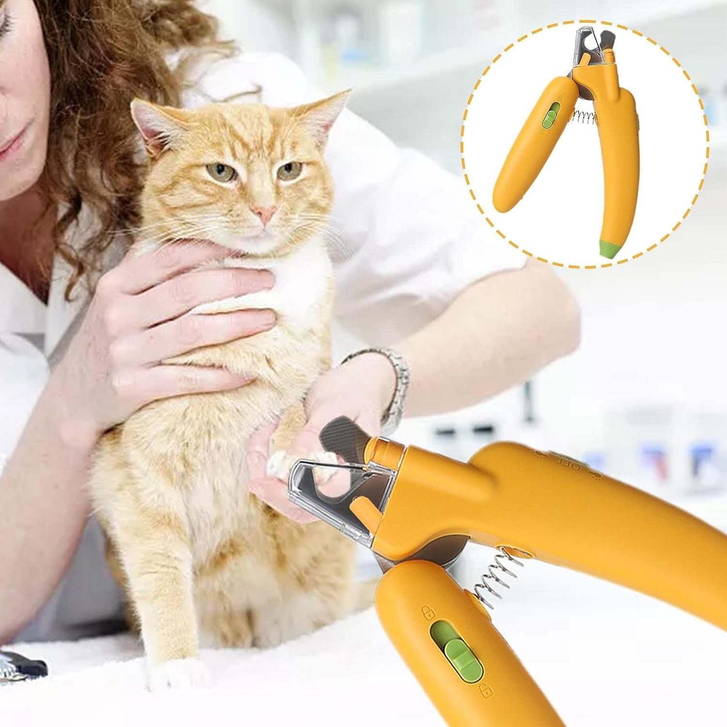 Eine Frau schneidet die Krallen einer Katze mit orangefarbenen Scheren. Ein Bild der Scheren ist im Hintergrund.