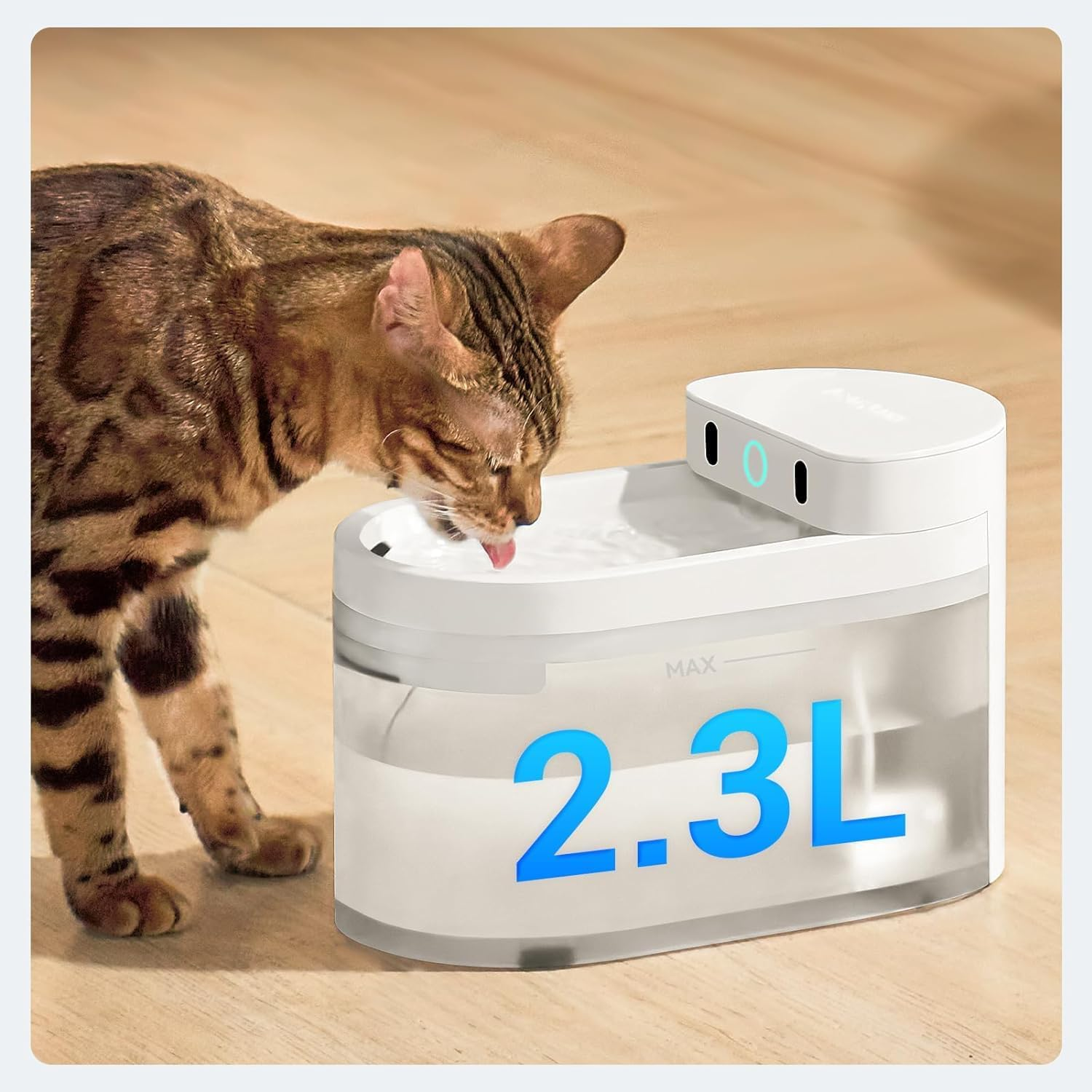 Cat drinking from a white water fountain. Holds 2.3L of water.