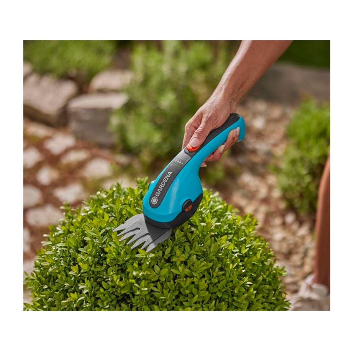 Eine blau-schwarze elektrische Gartenschere, die einen grünen Busch schneidet, weißer Hintergrund.