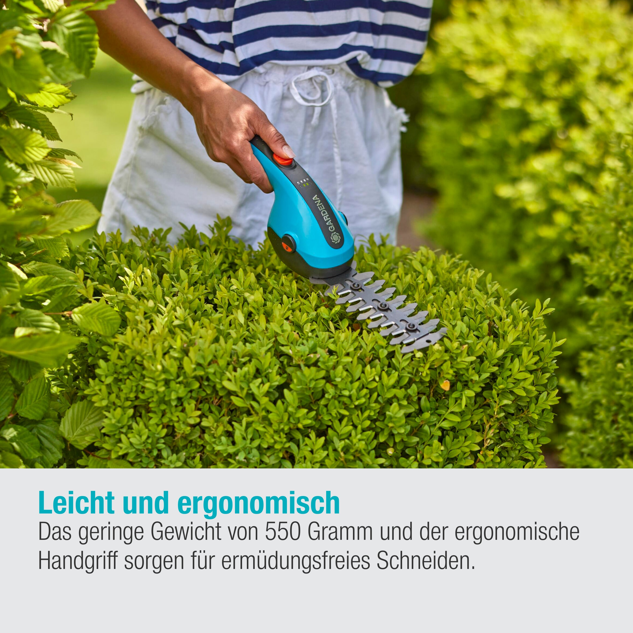 Eine Person schneidet eine Hecke mit einer elektrischen Heckenschere. Text sagt, sie ist leicht und ergonomisch.