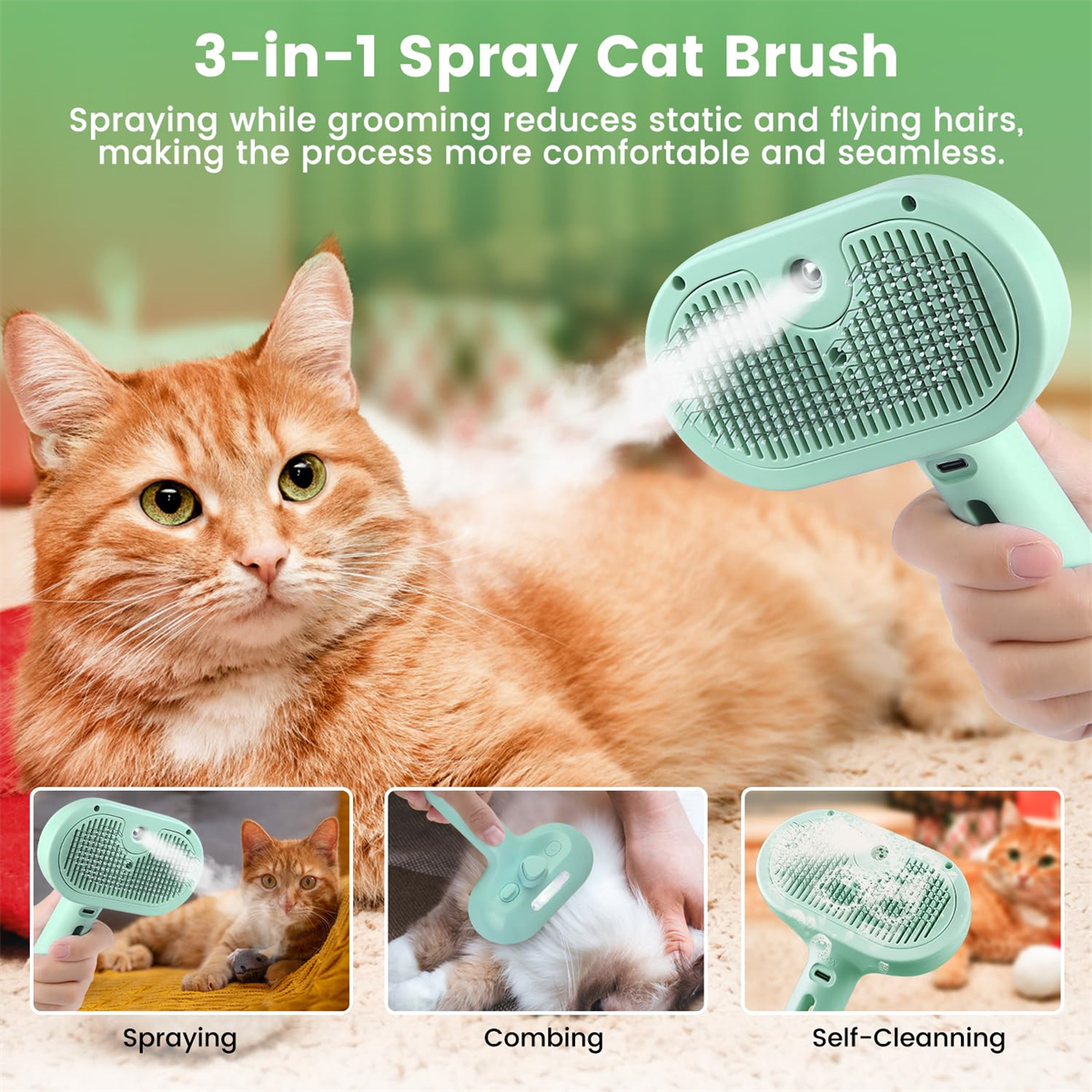 Orange Katze wird mit mintgrüner Bürste gebürstet. Sprühen, Kämmen und Reinigen gezeigt.