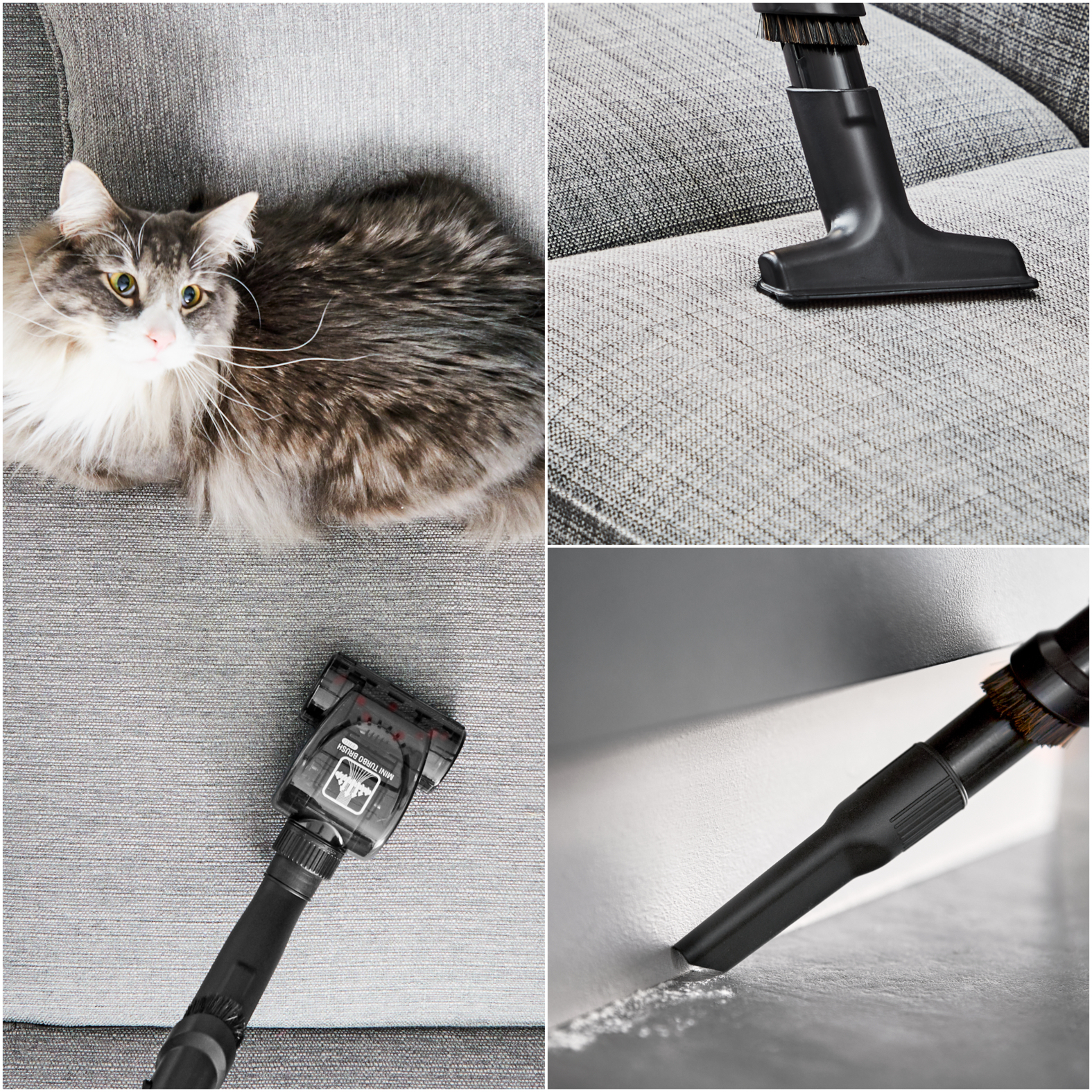 Kolaż przedstawiający kota na sofie oraz odkurzacz czyszczący sofę i róg.