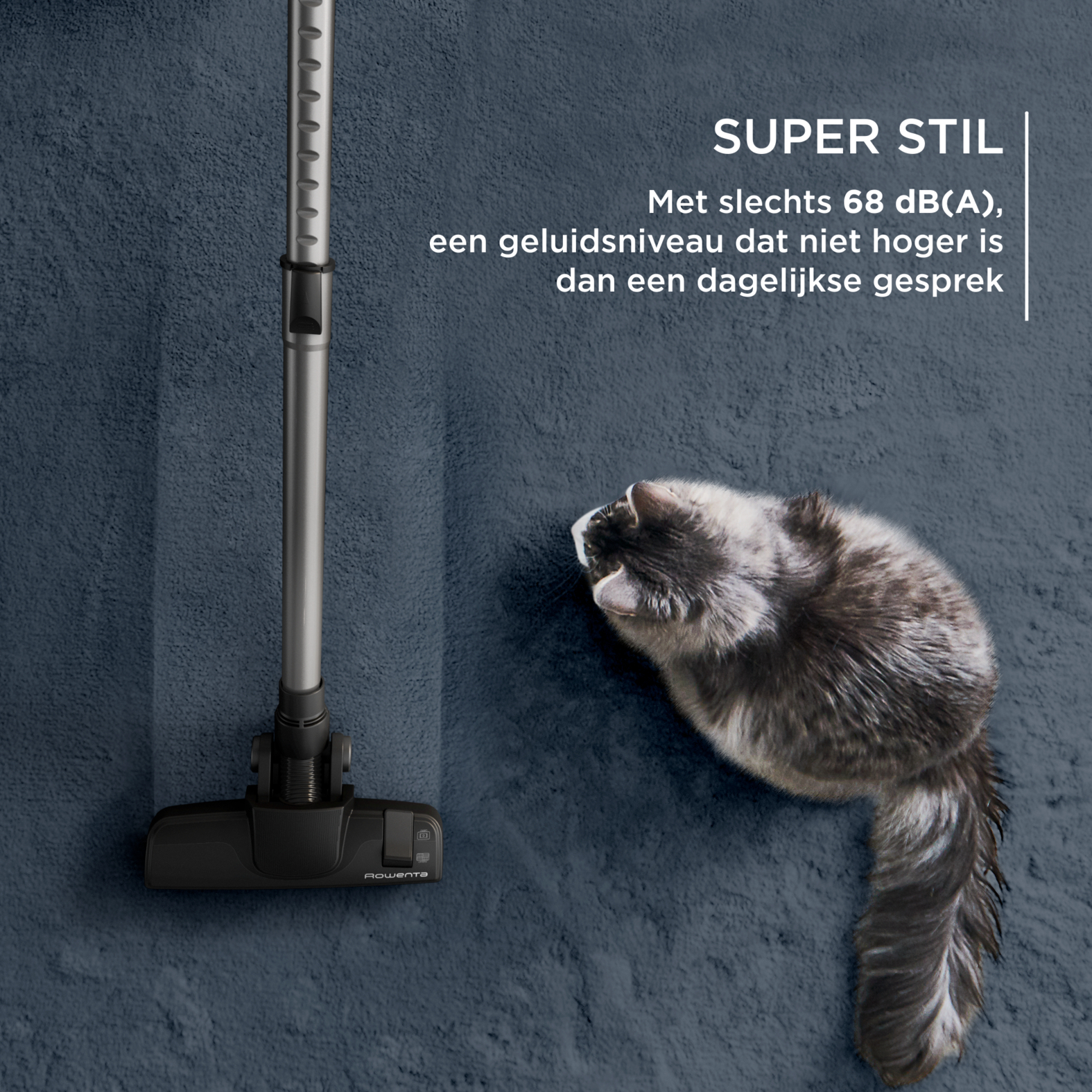 Kot leży obok odkurzacza na niebieskim dywanie, z tekstem po holendersku.