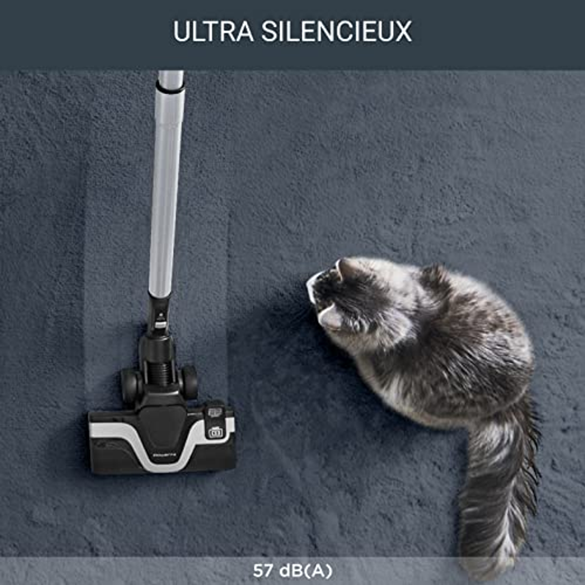 Odkurzacz z kotem w pobliżu. Odkurzacz jest czarny i srebrny, a kot szary.