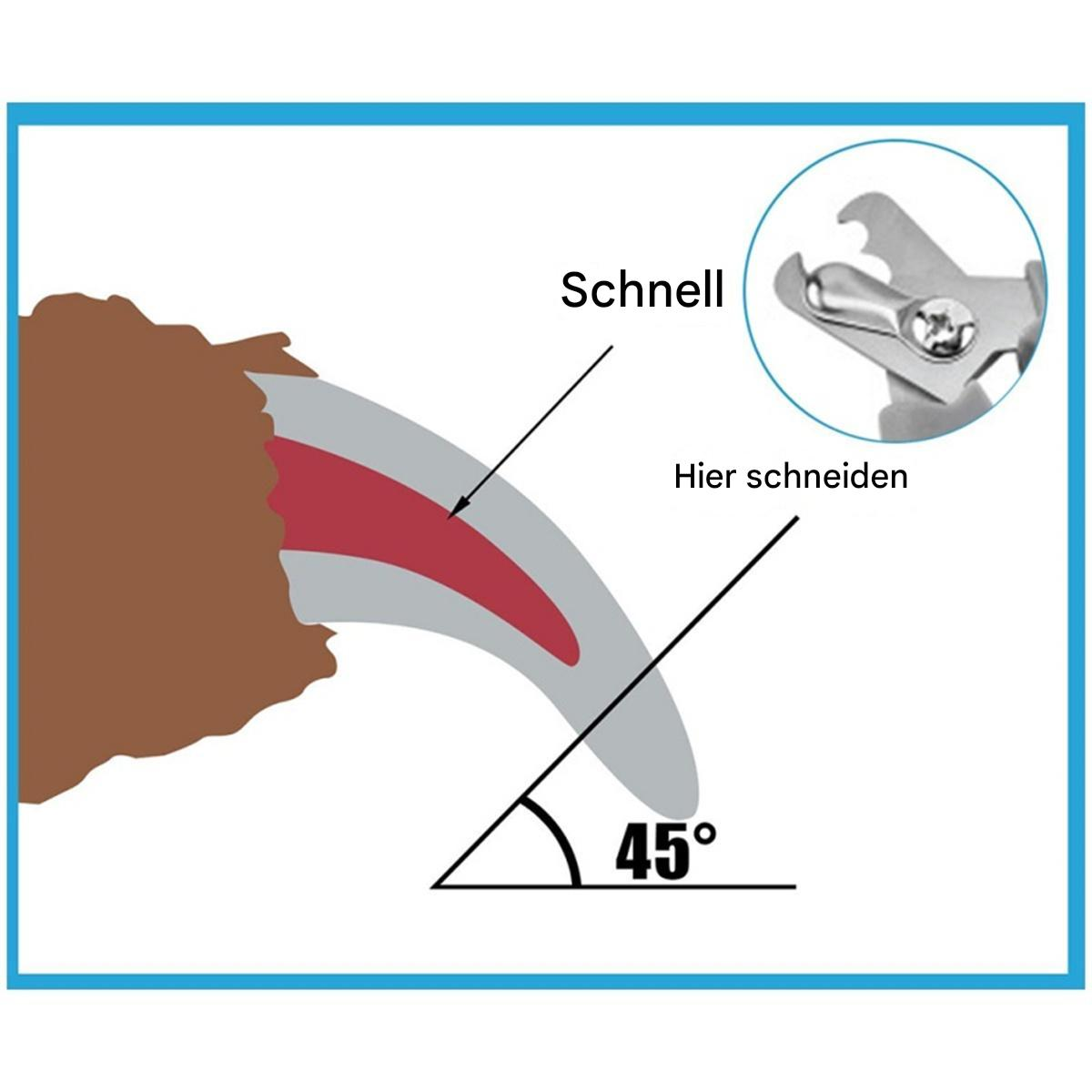 Hunde-Nagel wird geschnitten. Illustration zeigt, wo im 45-Grad-Winkel geschnitten werden soll.