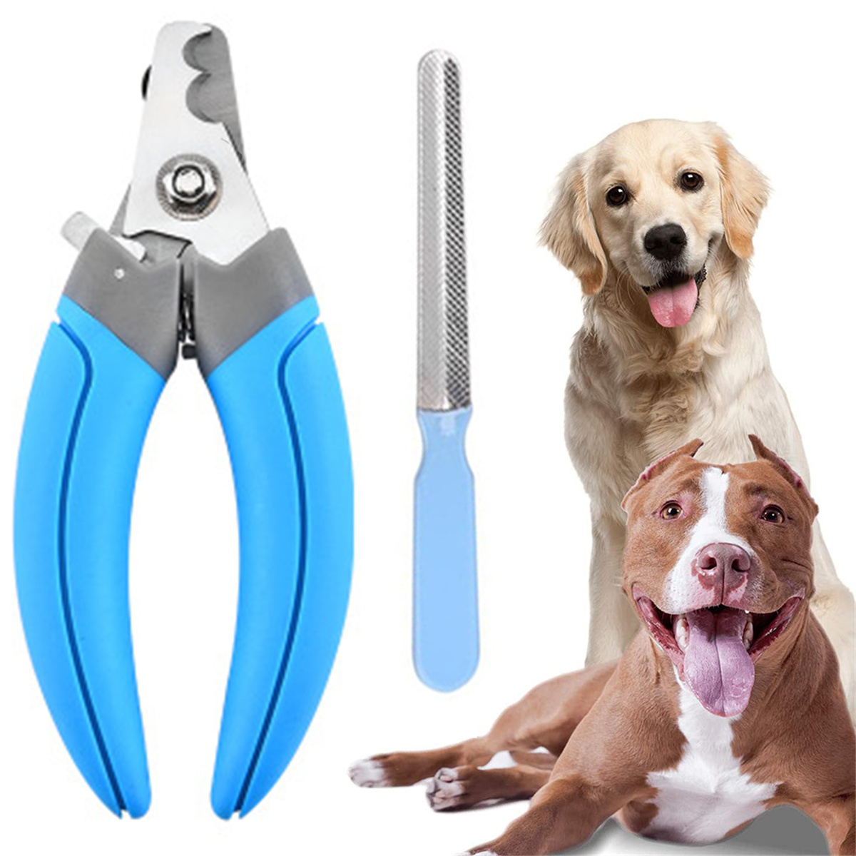 Hunde-Nagelknipser, Nagelfeile und zwei Hunde. Einer ist ein Golden Retriever.