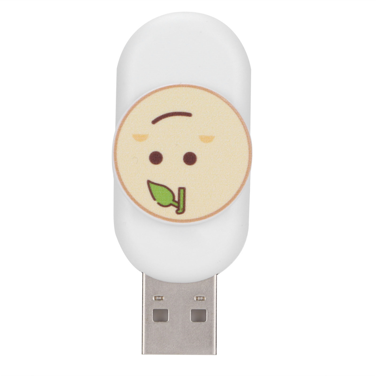 Ein weißer USB-Stick mit einem Cartoon-Gesicht mit einem Blatt. Der Hintergrund ist weiß.